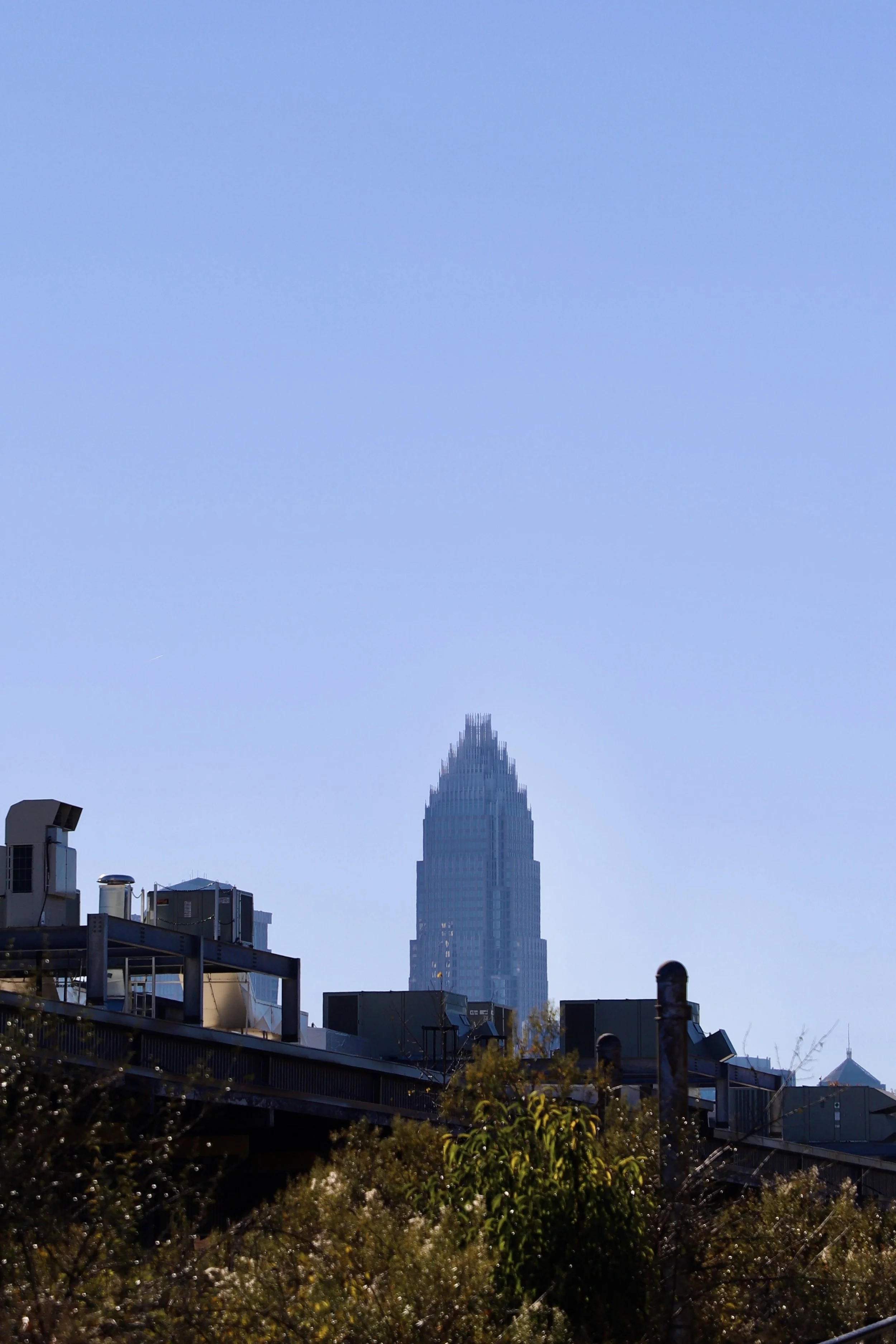 The Ultimate Guide to Full-Service Wedding Planning in Charlotte, NC
