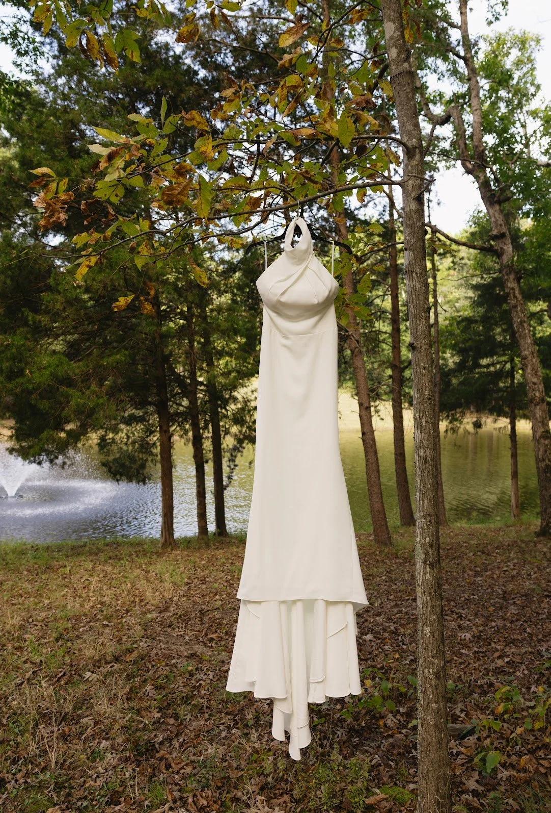 A white dress hanging from a tree branch in a wooded area near a pond.
