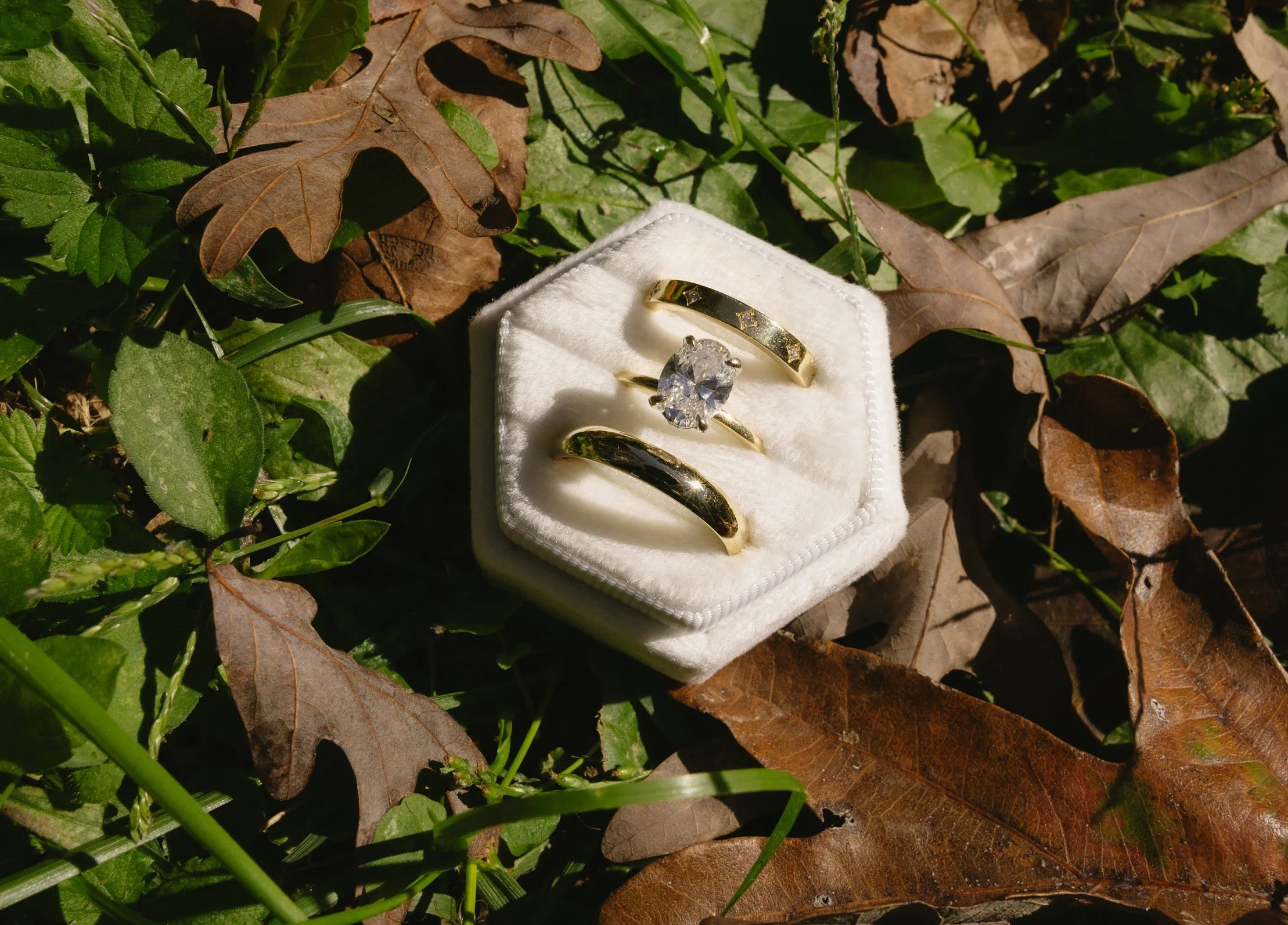 Three gold rings, one with a large diamond, in a white velvet ring box surrounded by green and brown fallen leaves.