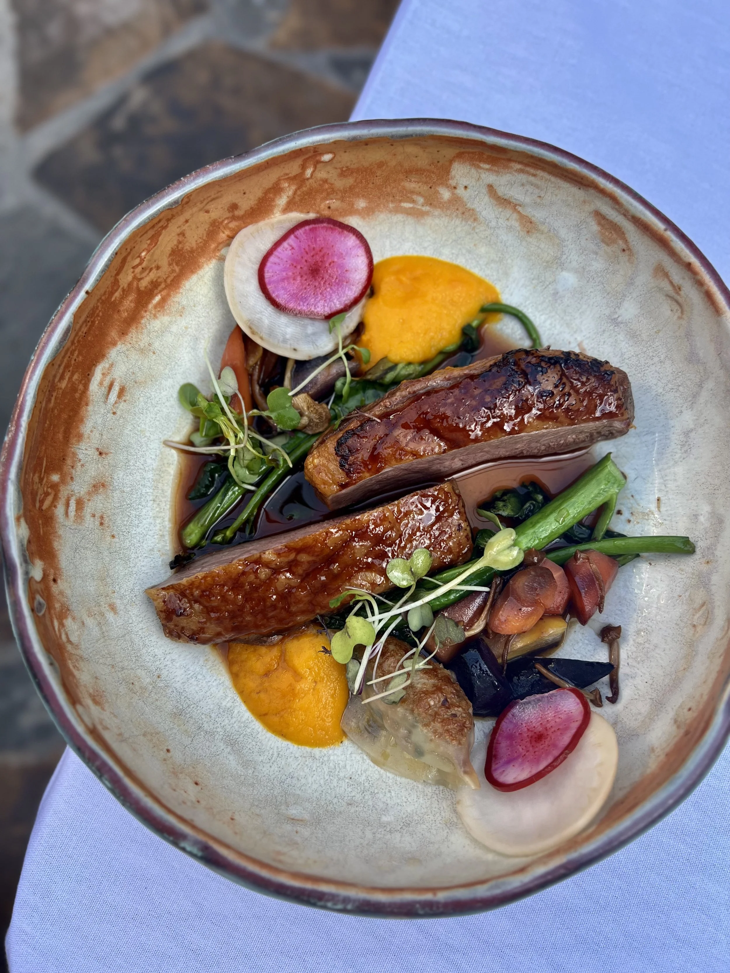A plated dish with two pieces of seared meat, garnished with radish slices, microgreens, and an assortment of vegetables including green beans, mushrooms, and squash.