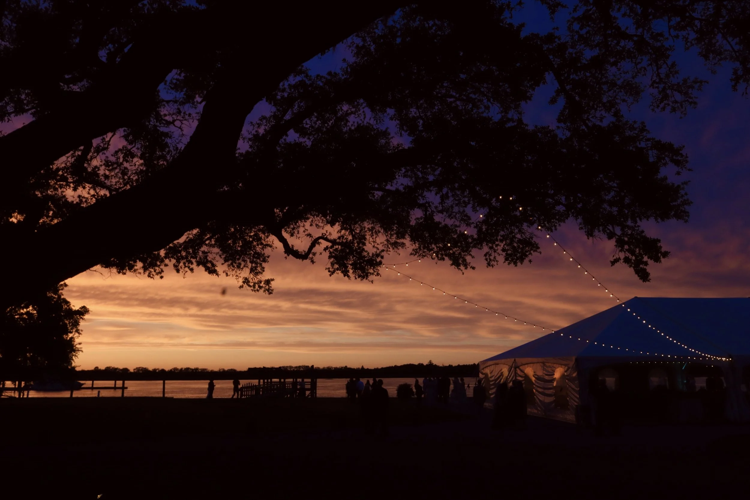 Silhouette of a large tree with string lights hanging from its branches, during sunset with colorful sky and distant people by the water.