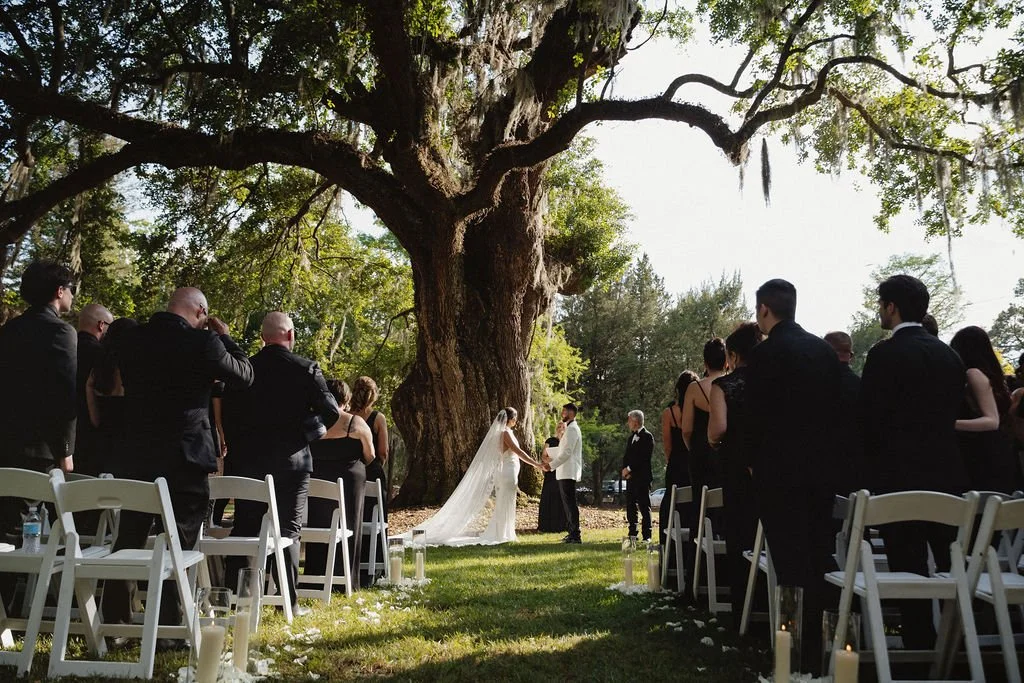 A couple getting married outdoors under a large tree, with guests standing on either side, holding hands and facing the couple.