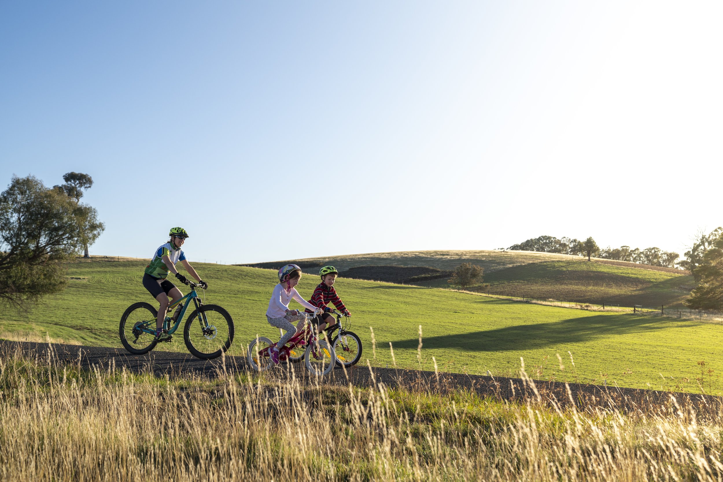 A woman and three children riding bicycles on a paved path through a grassy field with rolling hills and scattered trees under a clear blue sky.