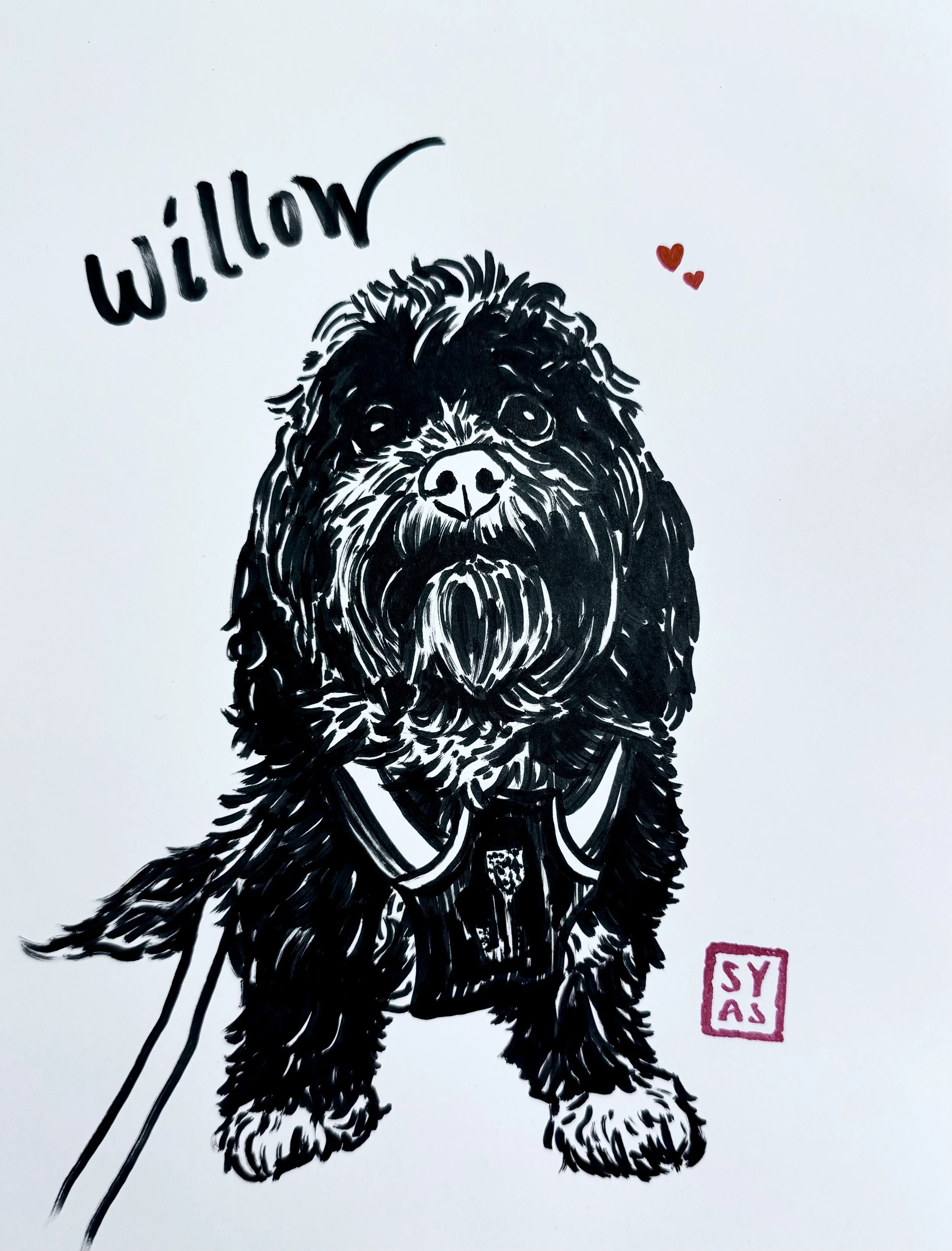 Willow, 2025.
Ink on paper
8.5 x 11 inches