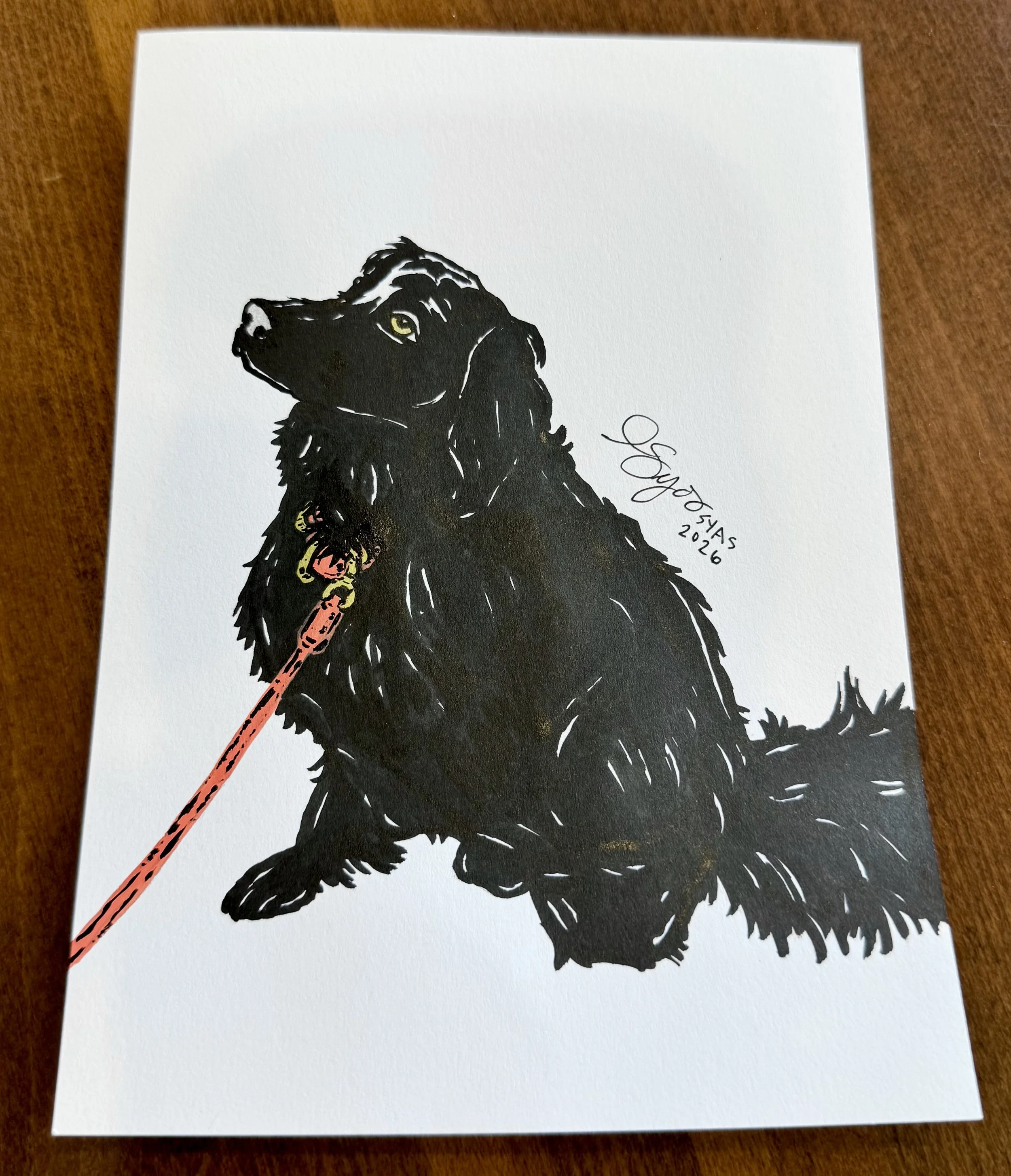  Azula Waiting for a Walk, 2026.
Ink on paper
5 x 7 inches