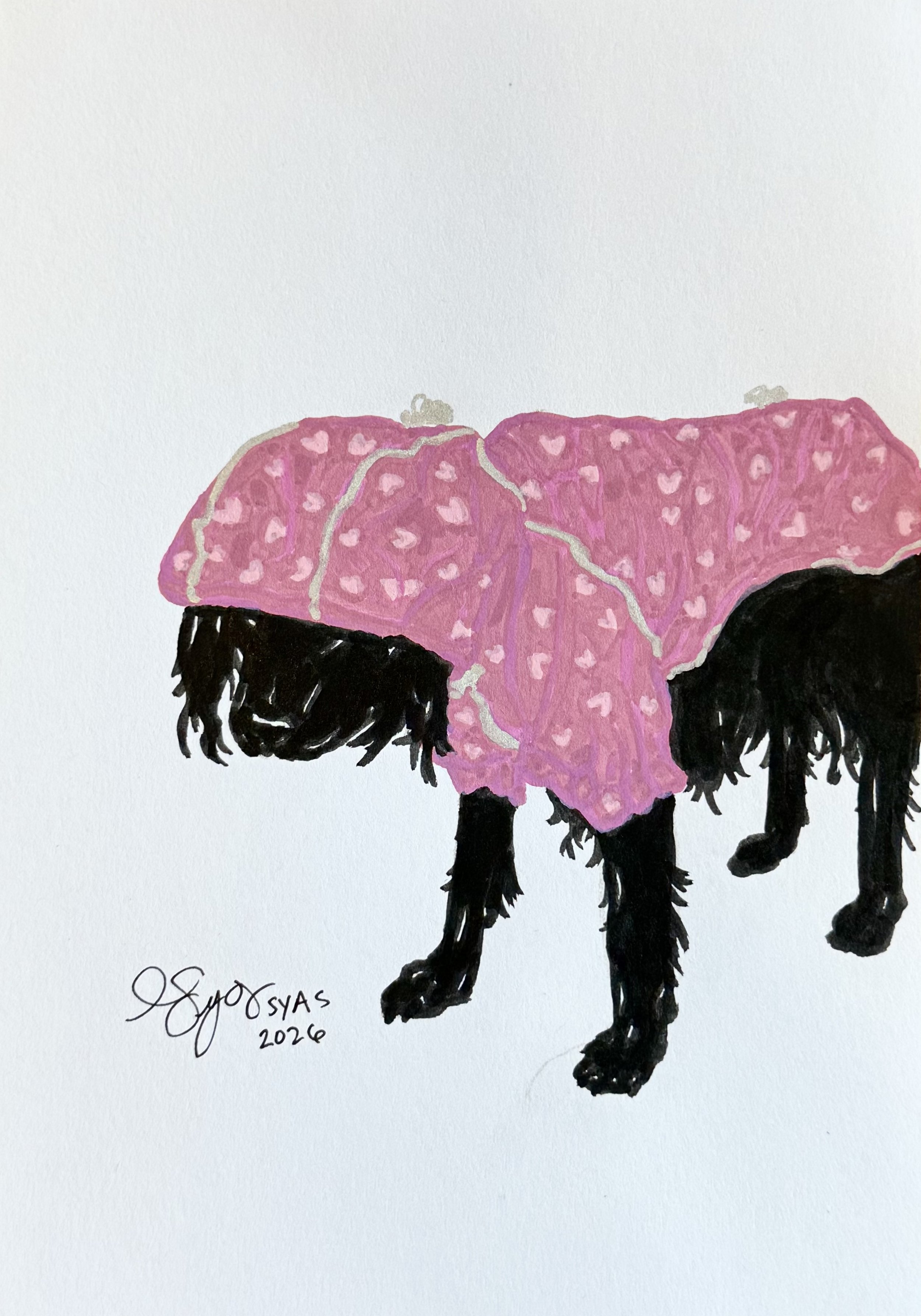 Wet Azula, 2026.
Ink on paper
5 x 7 inches