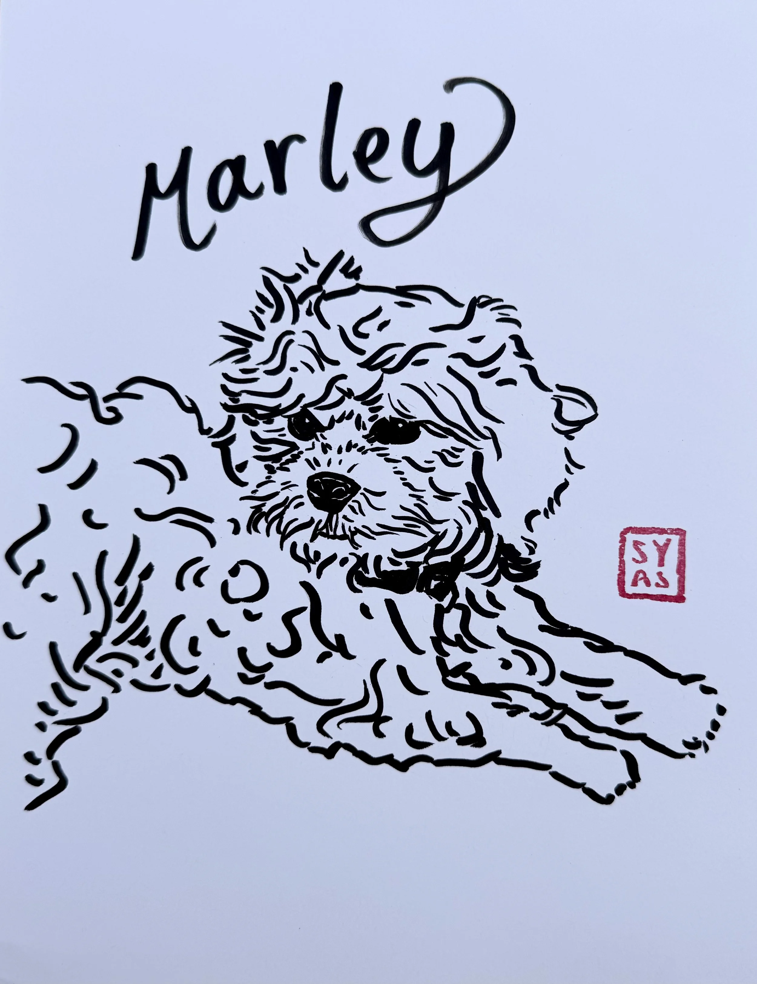 Marley, 2025.
Ink on paper
8.5 x 11 inches