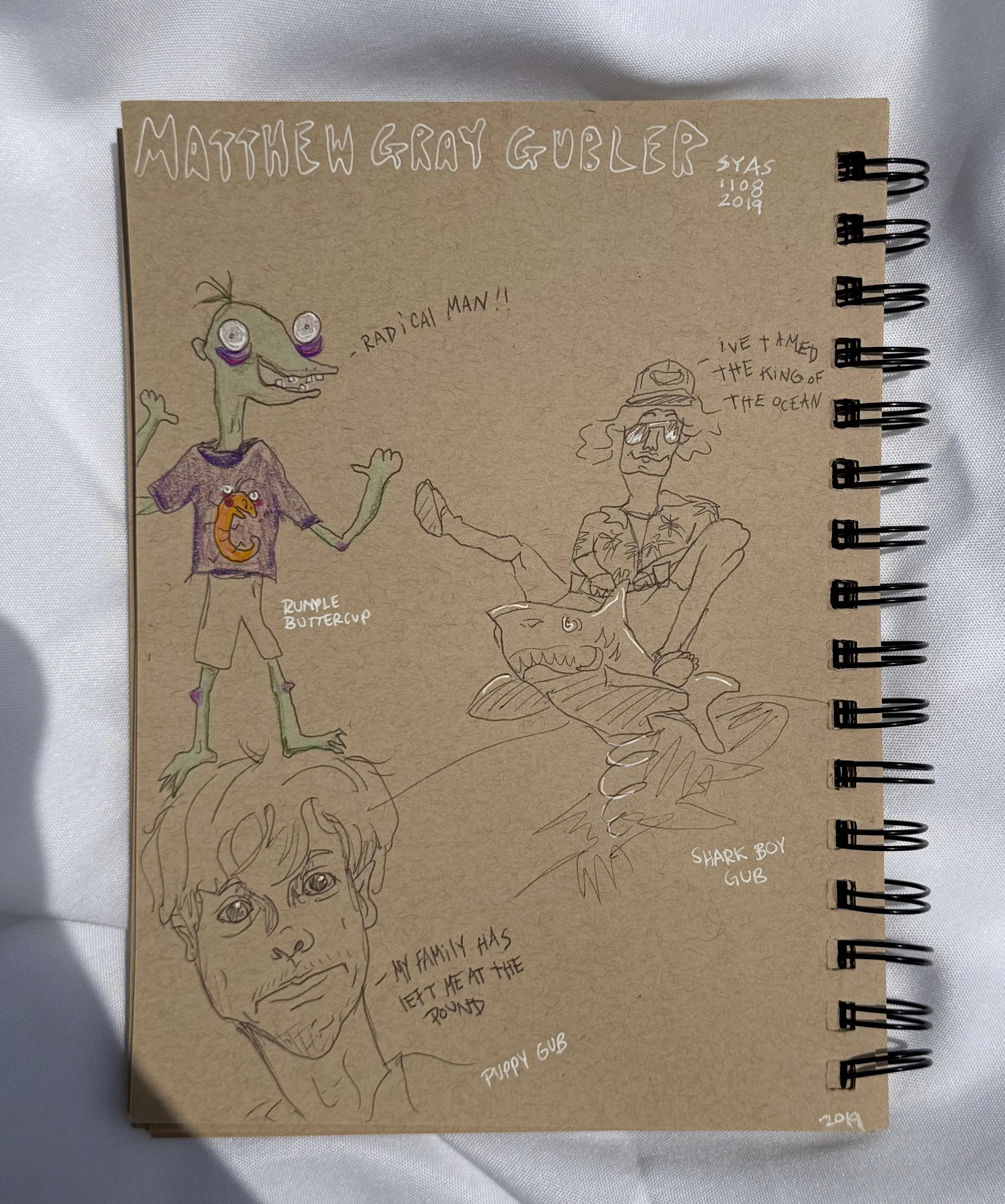 2019 
Pen & color pencil