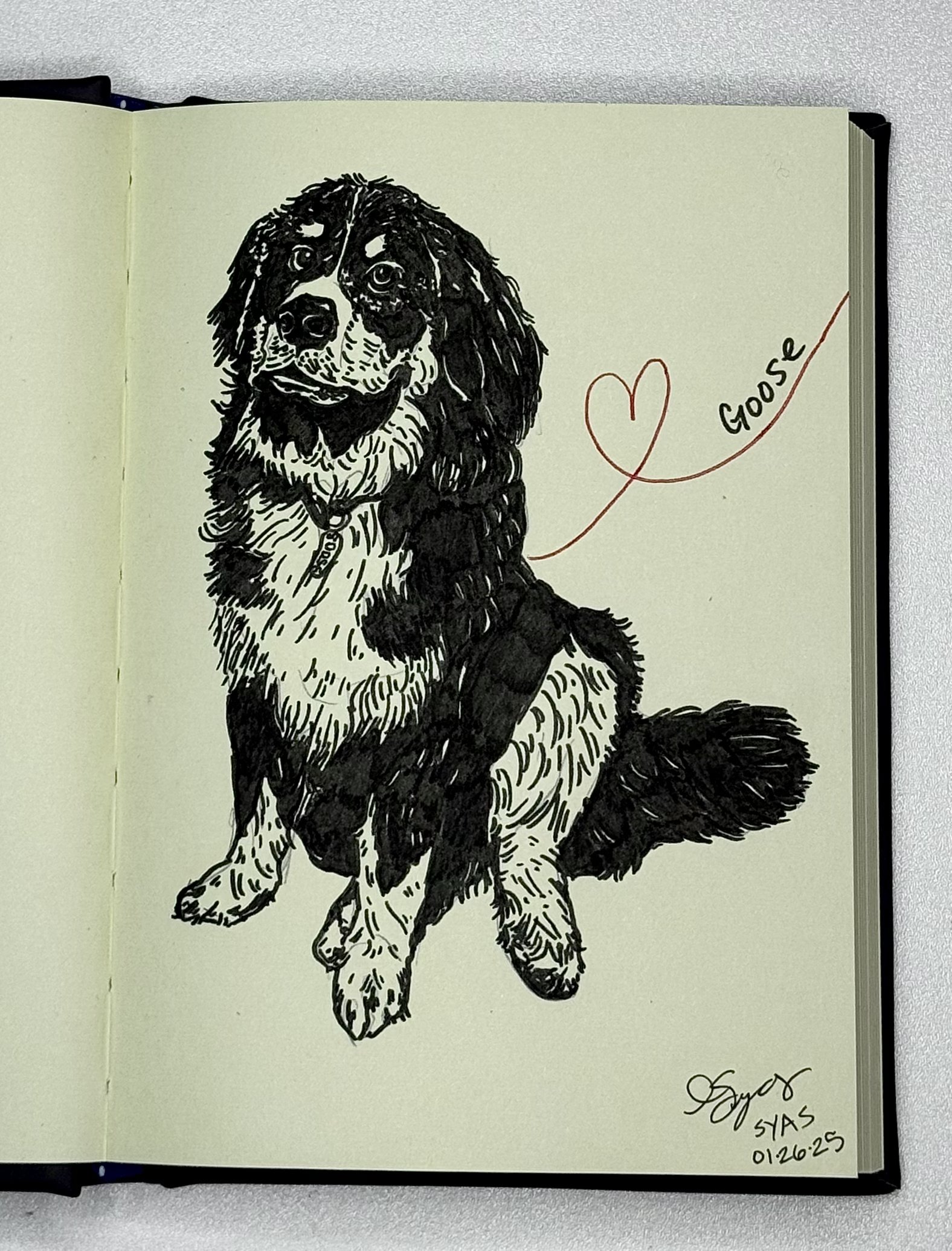 Goose, 2025.
Ink on toned paper
5 x 7 inches