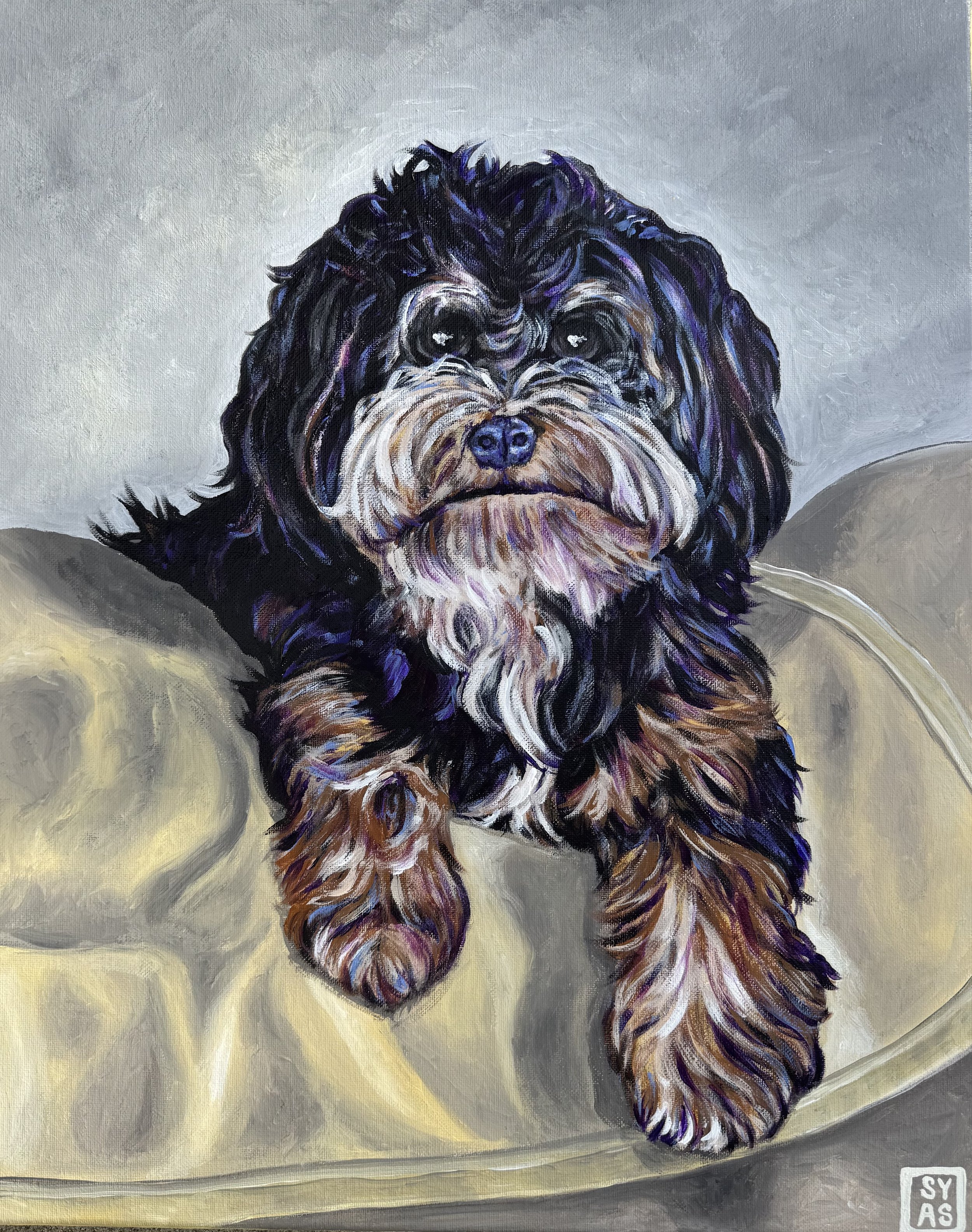 Pets Series