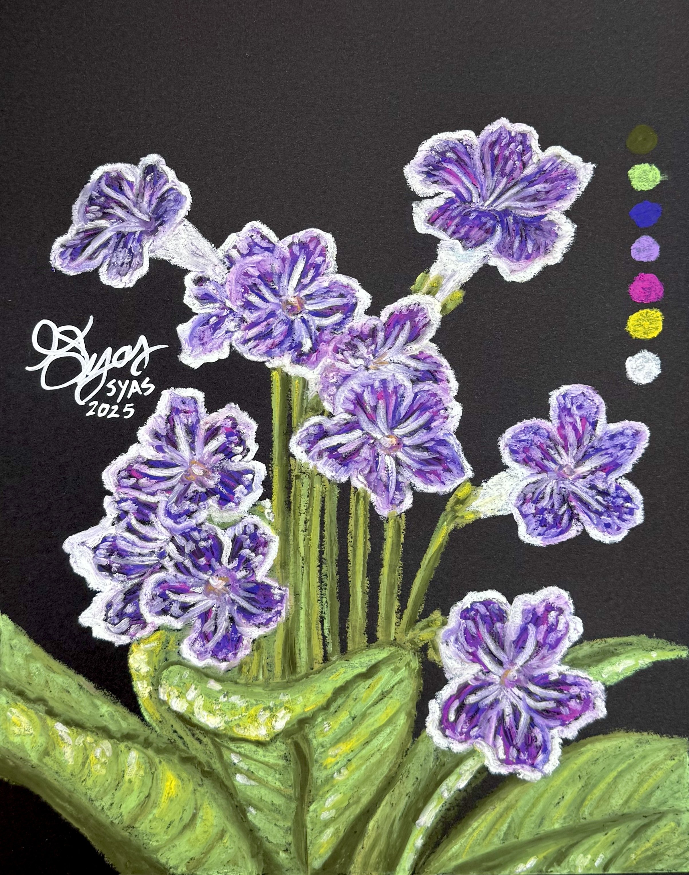 Resilient Flowers, 2025
Oil pastel on paper
9 x 12 inches