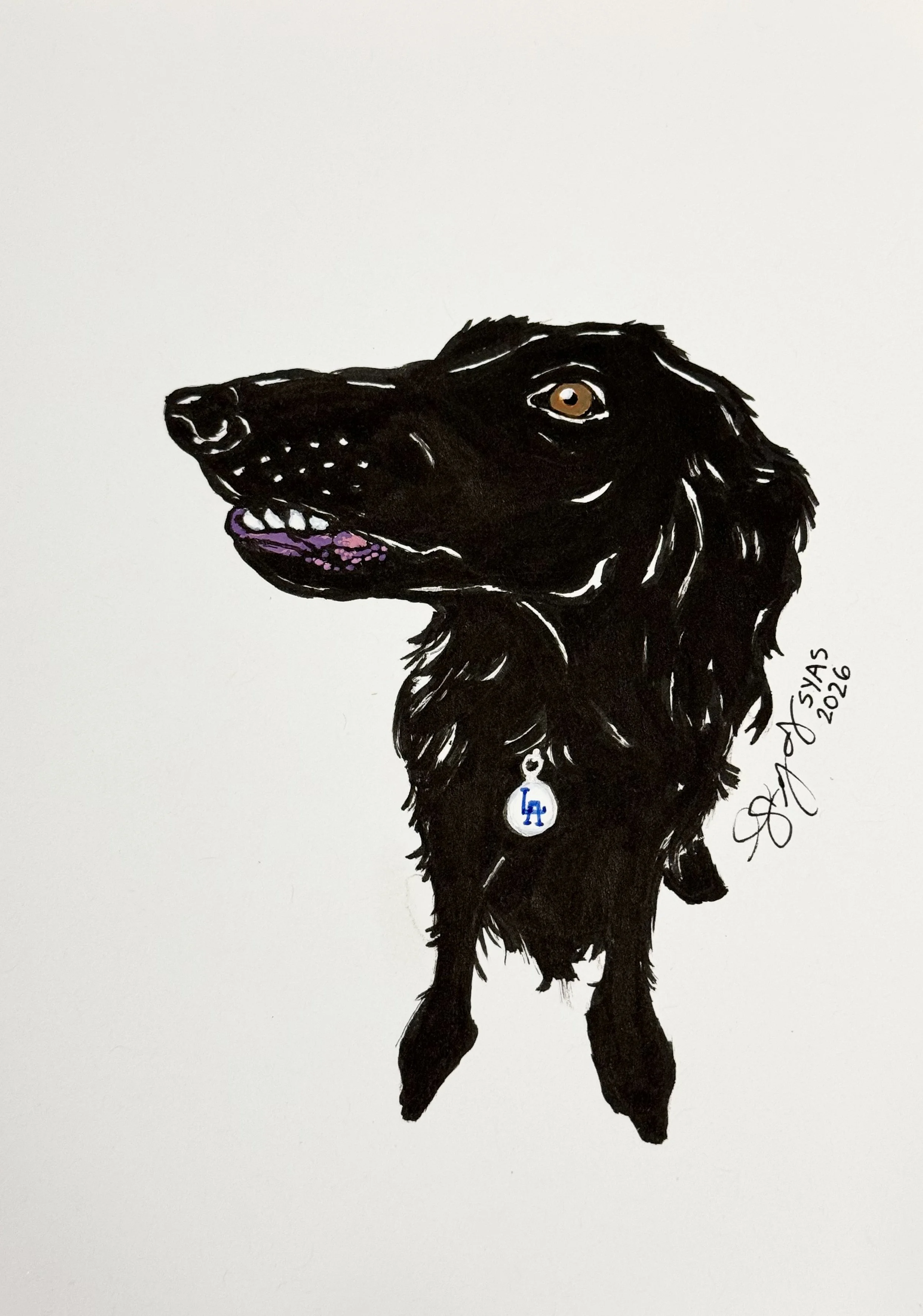 Derpy Azula, 2026.
Ink on paper
5 x 7 inches