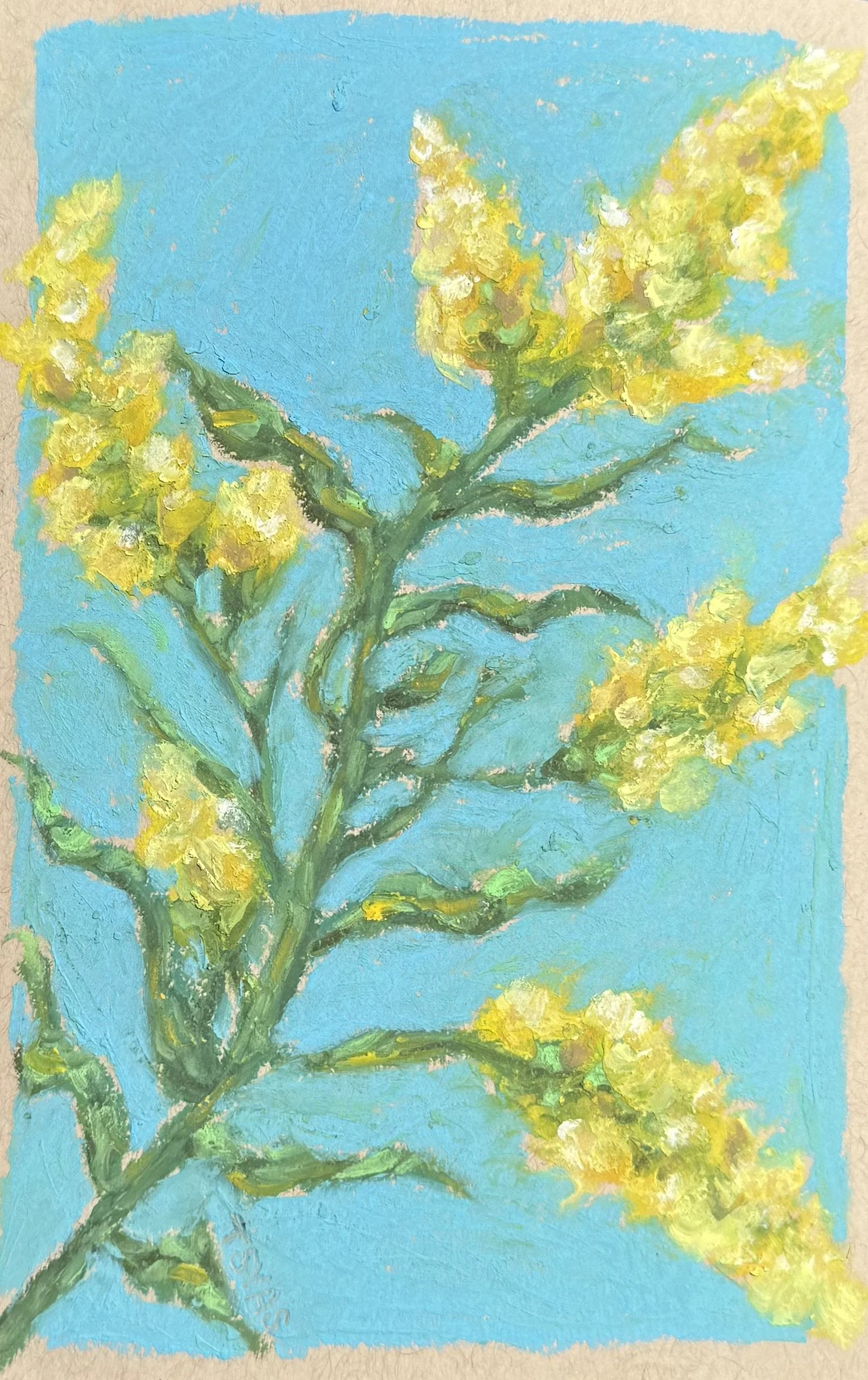Goldenrod, 2026
Oil pastel on paper
4 x 6 inches