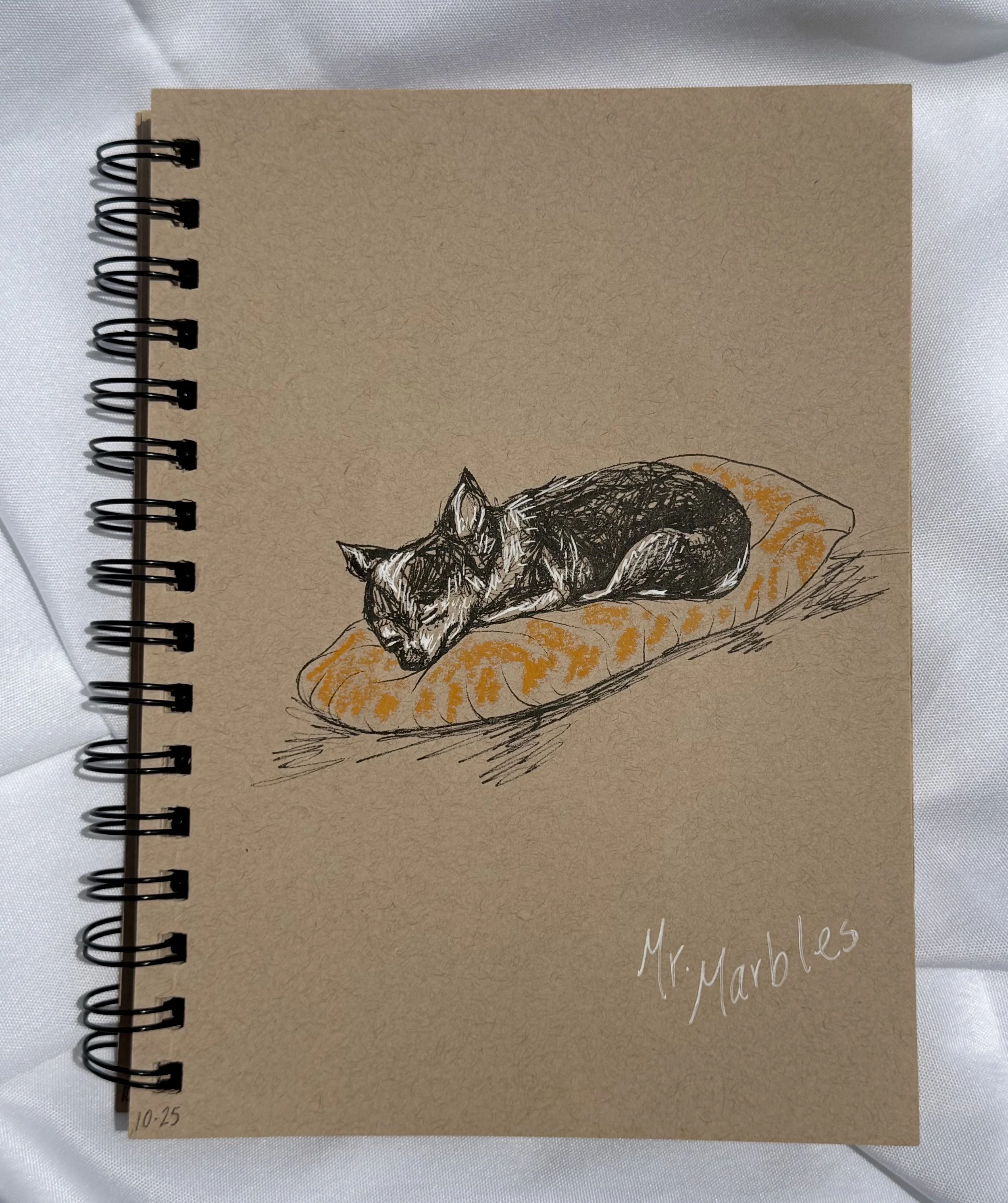 2019 
Pen & oil pastel