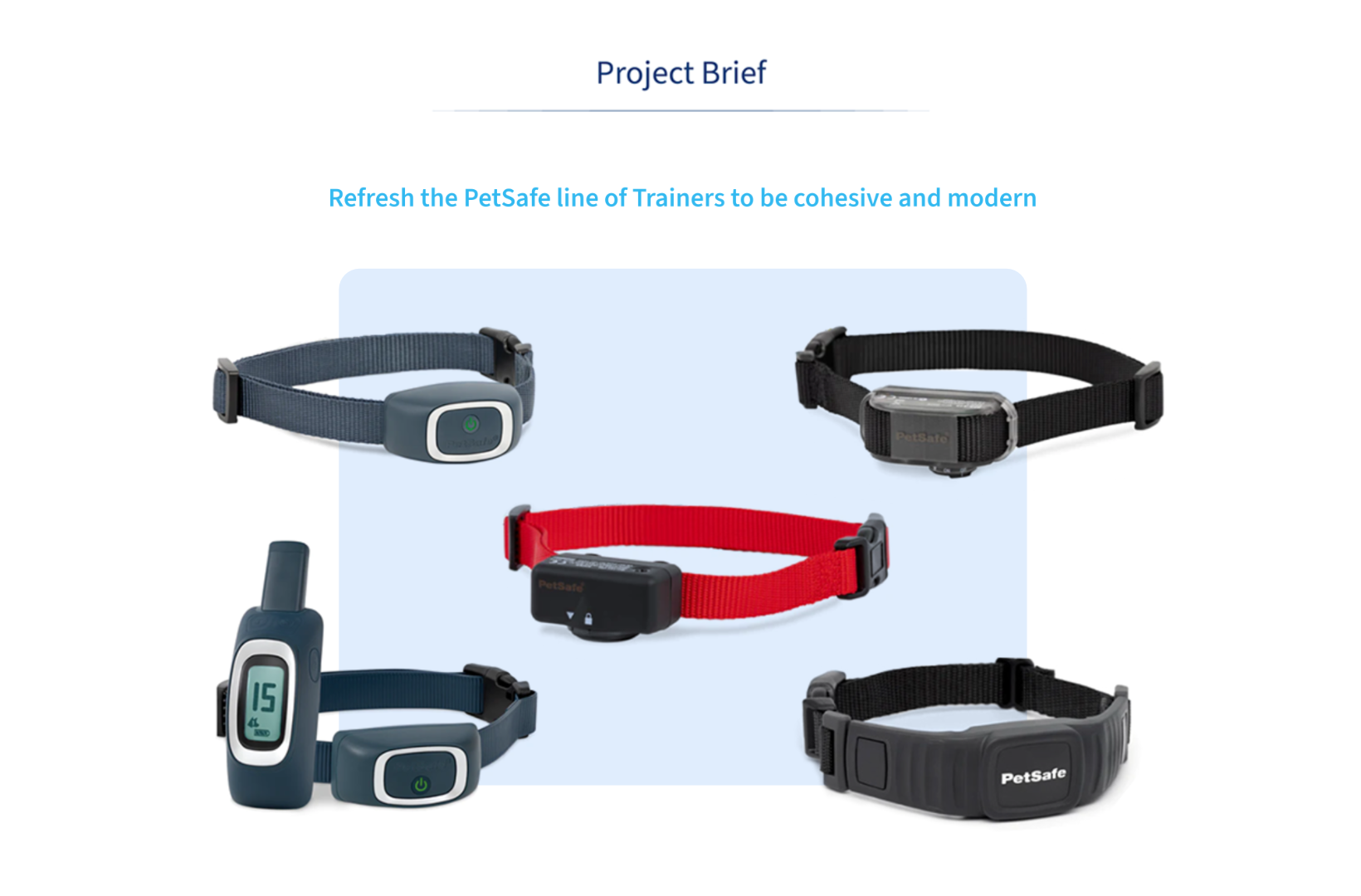 PetSafe2_2.png