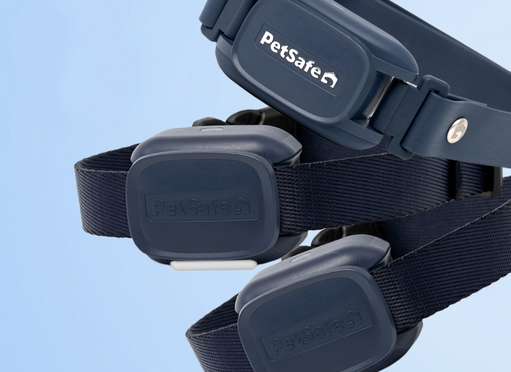 PetSafe Training Collars