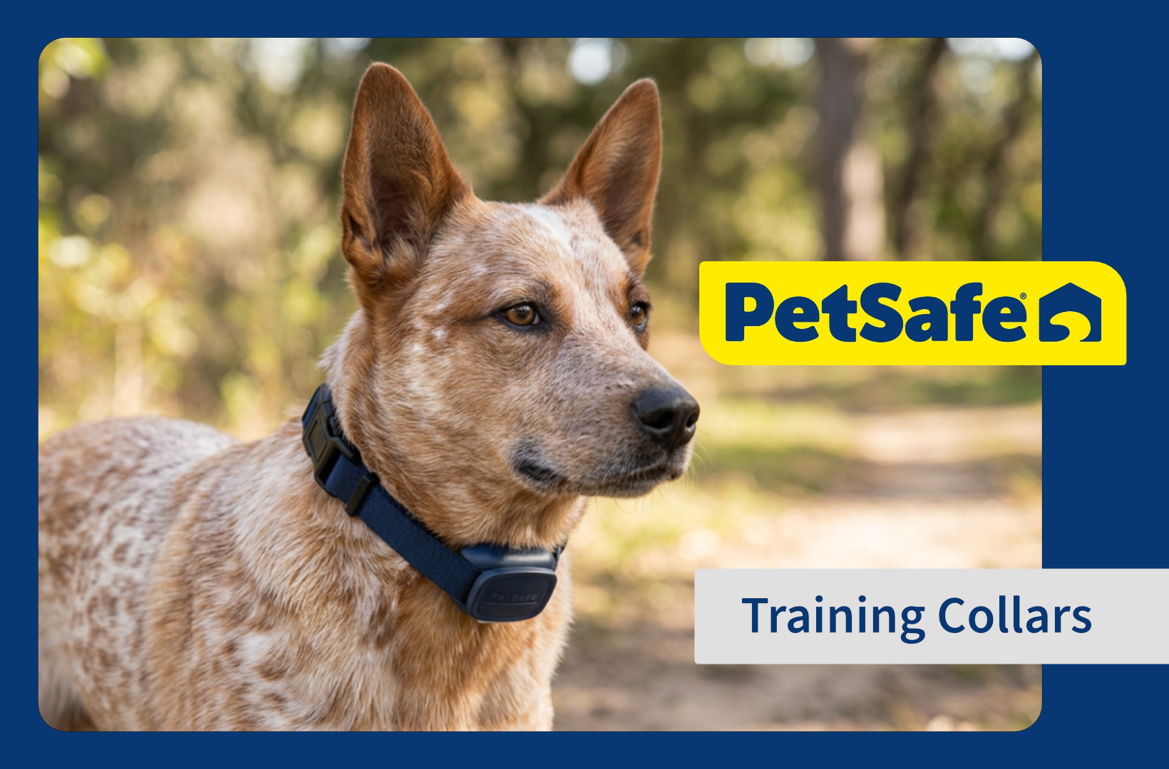 PetSafe2_1.png
