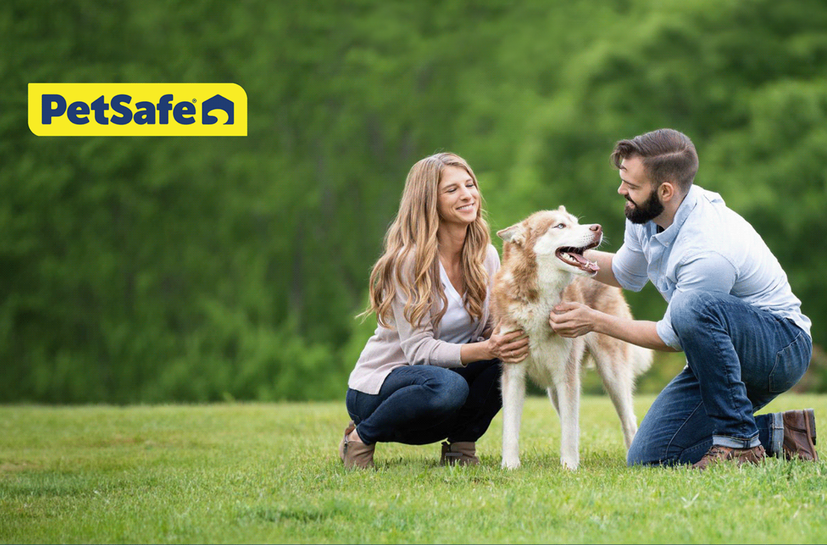 PetSafe2_12.png