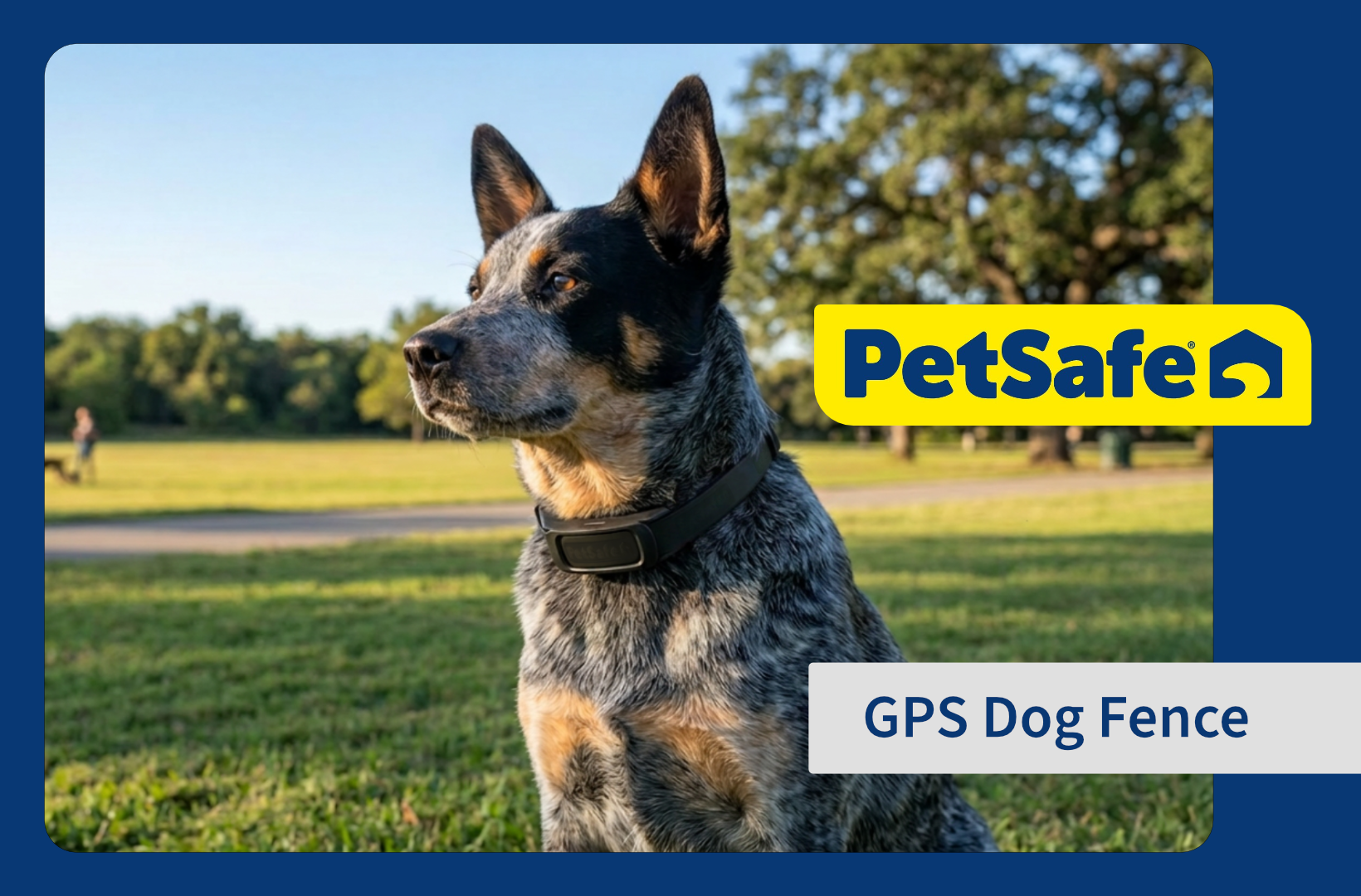PetSafeGPS1.png