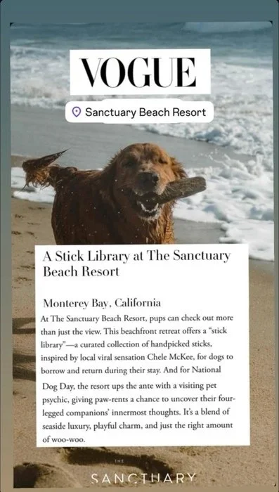 A promotional flyer for the Sanctuary Beach Resort featuring a happy golden retriever on the beach holding a stick in its mouth with ocean waves in the background.
