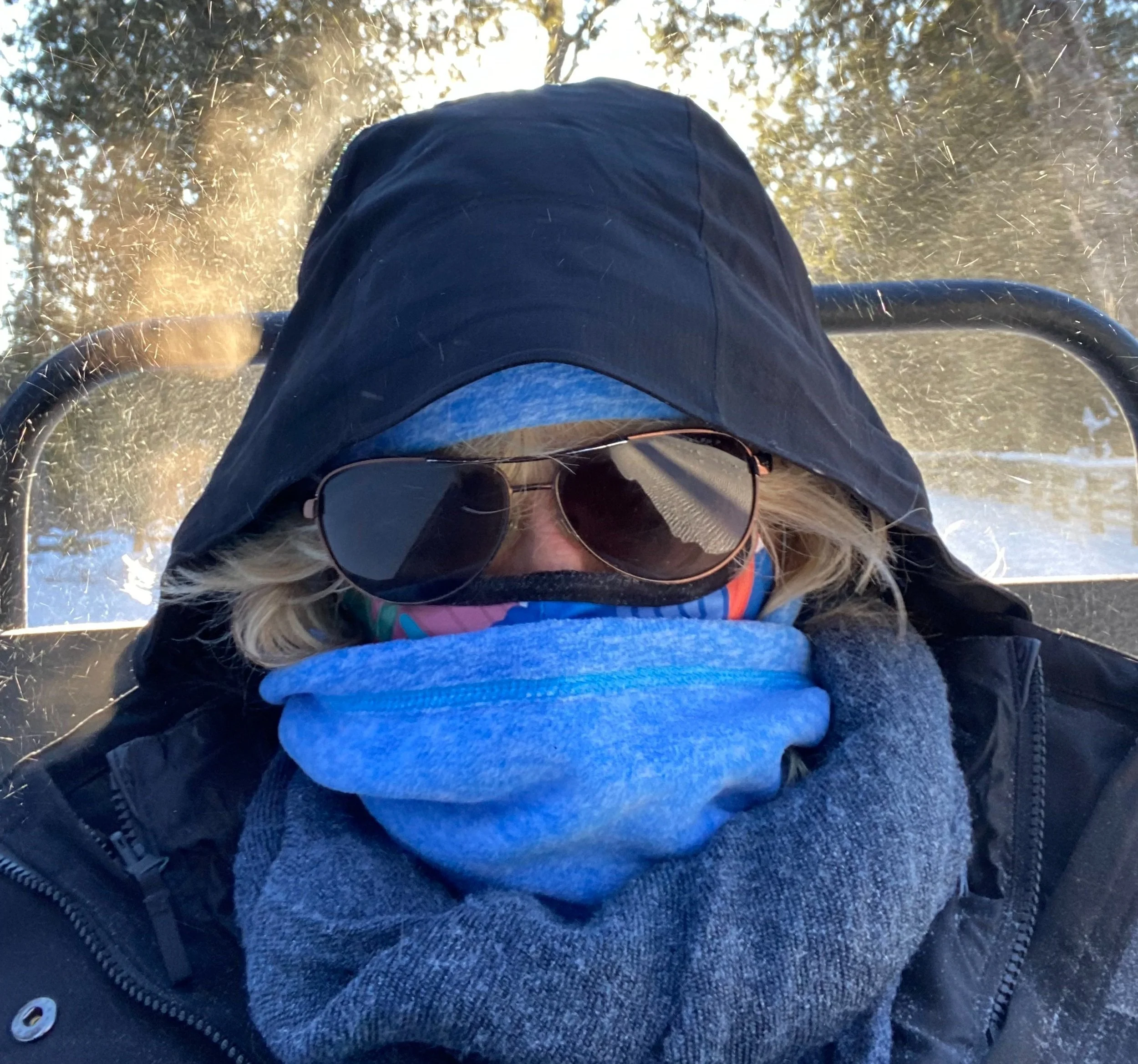 Chele traveling by sleigh