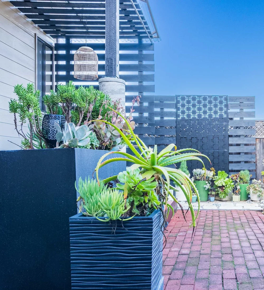 A rooftop patio featuring various potted succulents and cacti, concrete and wooden wall panels, a hanging woven light fixture, and a clear blue sky in the background.