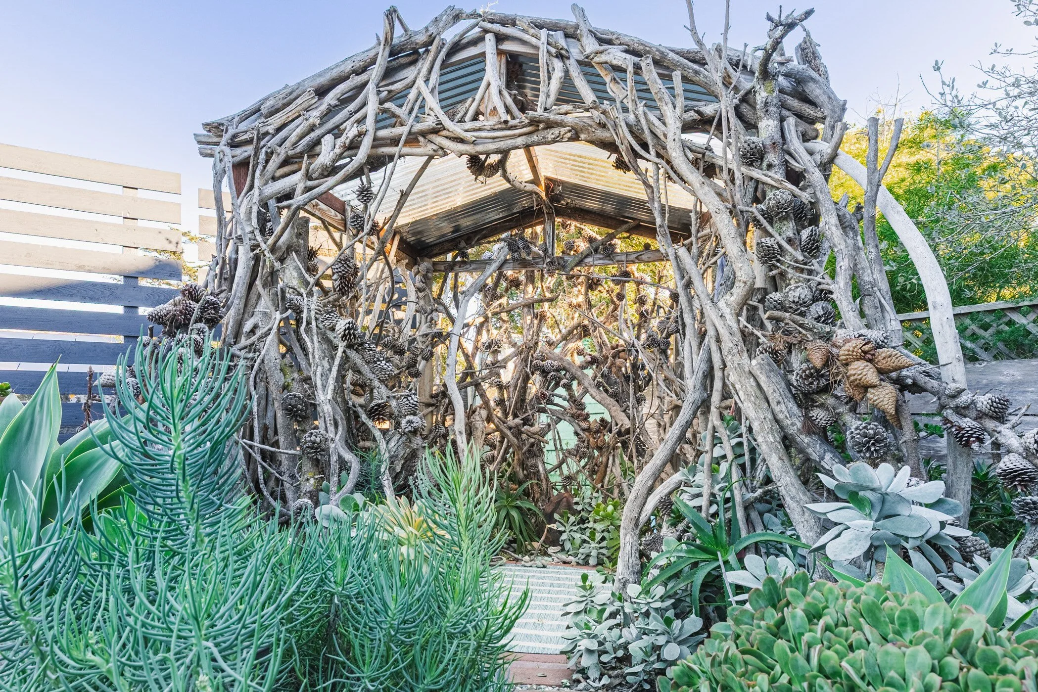 A garden with a wooden and metal structure resembling a nest, surrounded by various green plants and succulents.