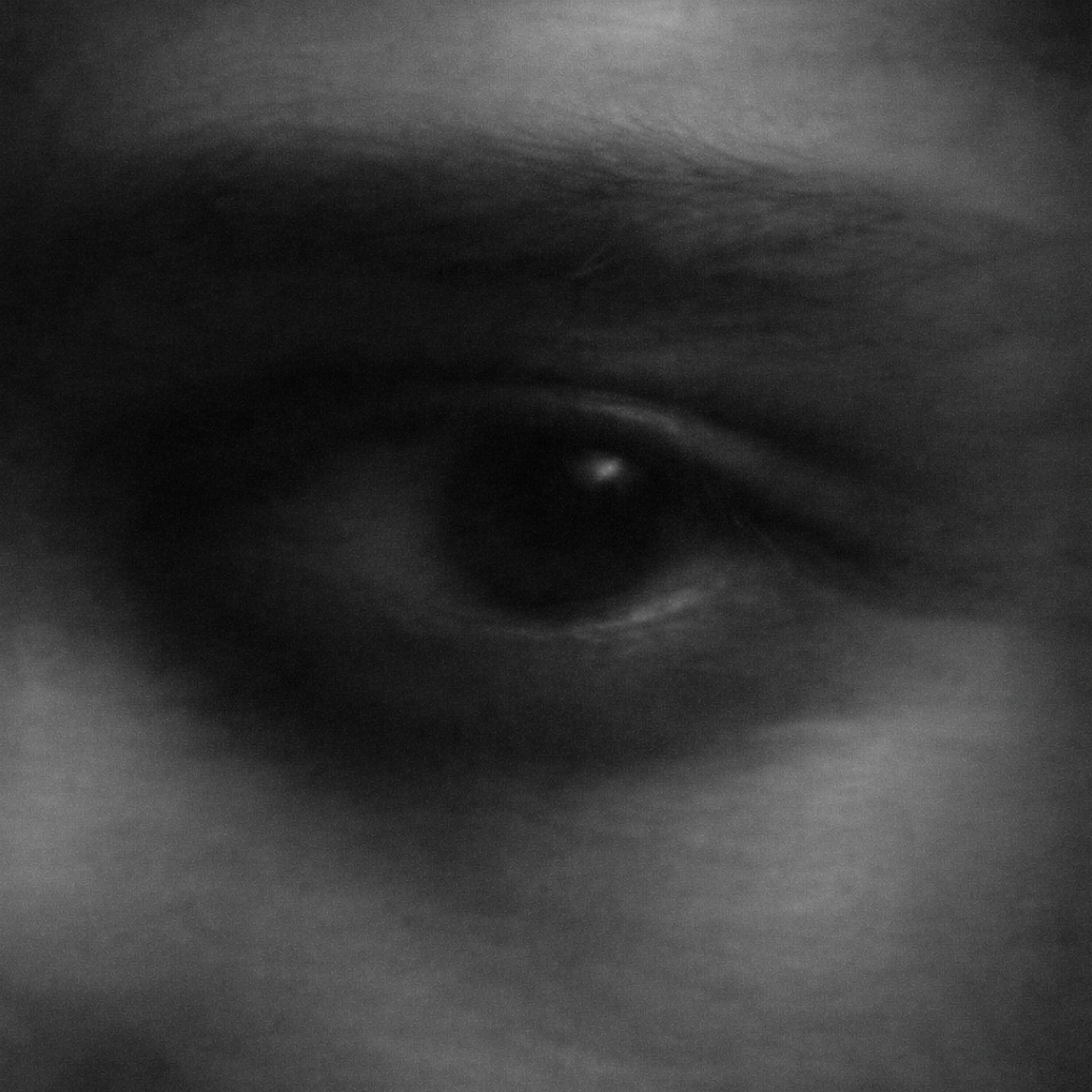 ChatGPT Image Dec 24, 2025, 02_18_08 PM copy.png