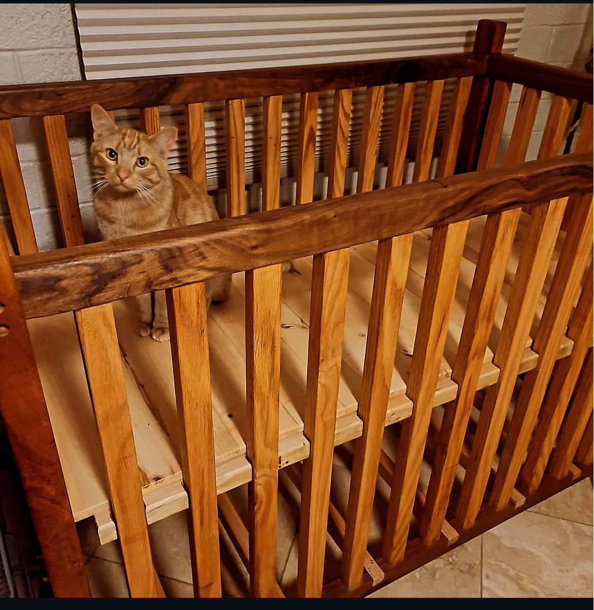 IMG_20260611_215039 (1).png