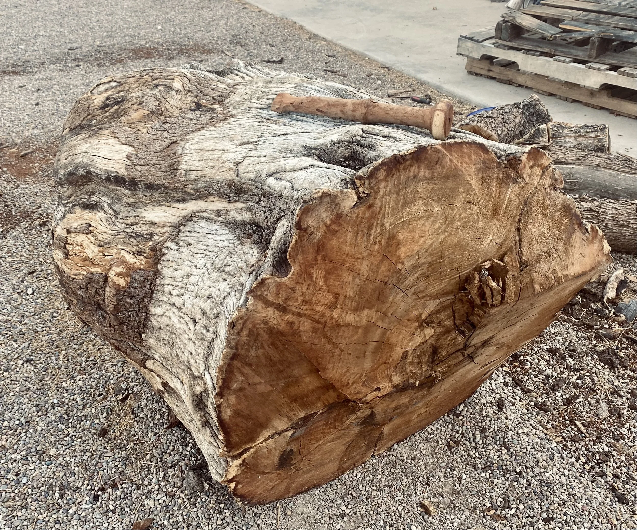 A large, cut log of wood lying on gravel with a hammer resting on top of it.