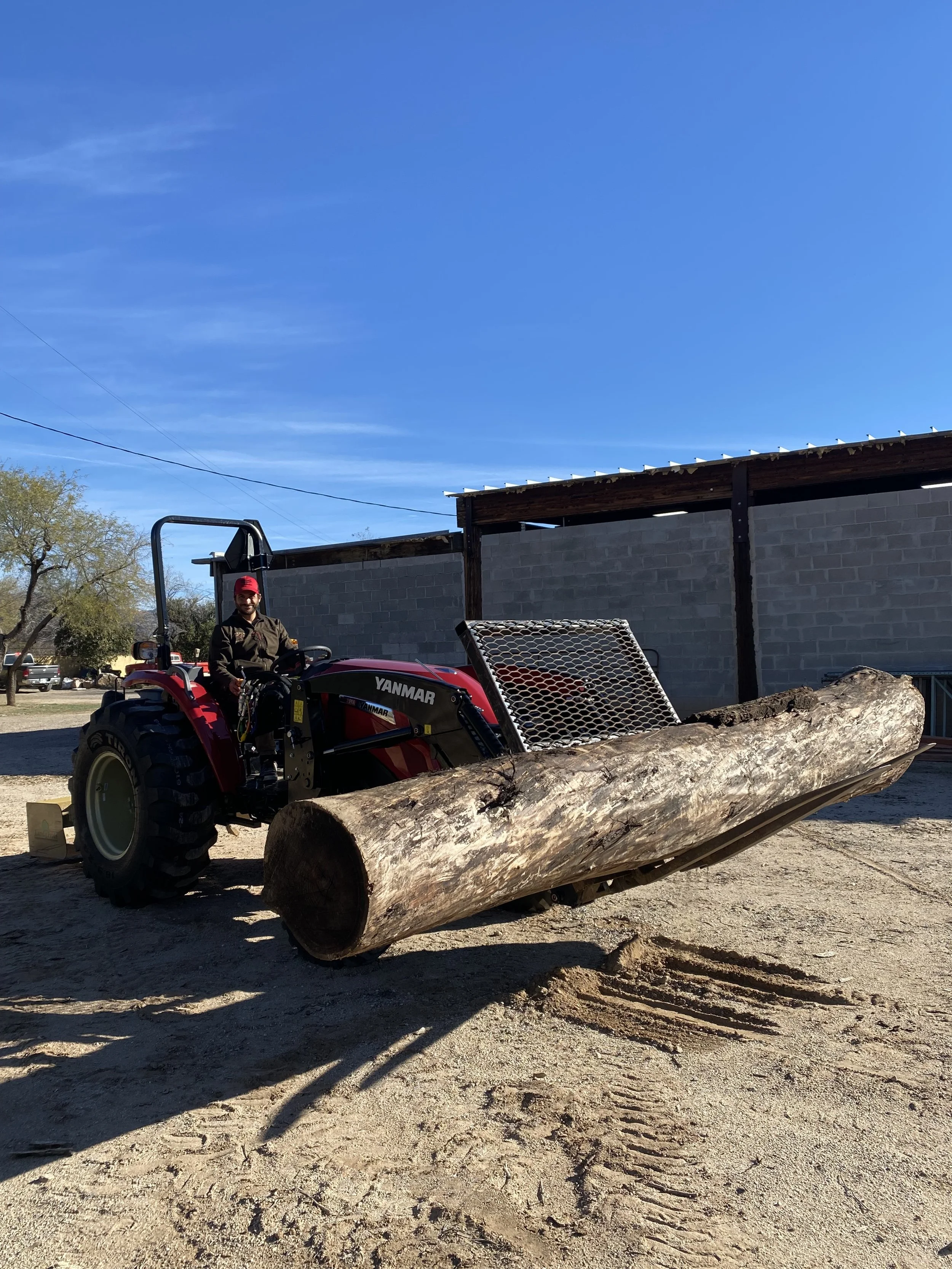 A person sitting on a red tractor holding a large log with a machine on the front, outdoors on a sunny day with a blue sky, trees, a building, and a parked vehicle in the background.