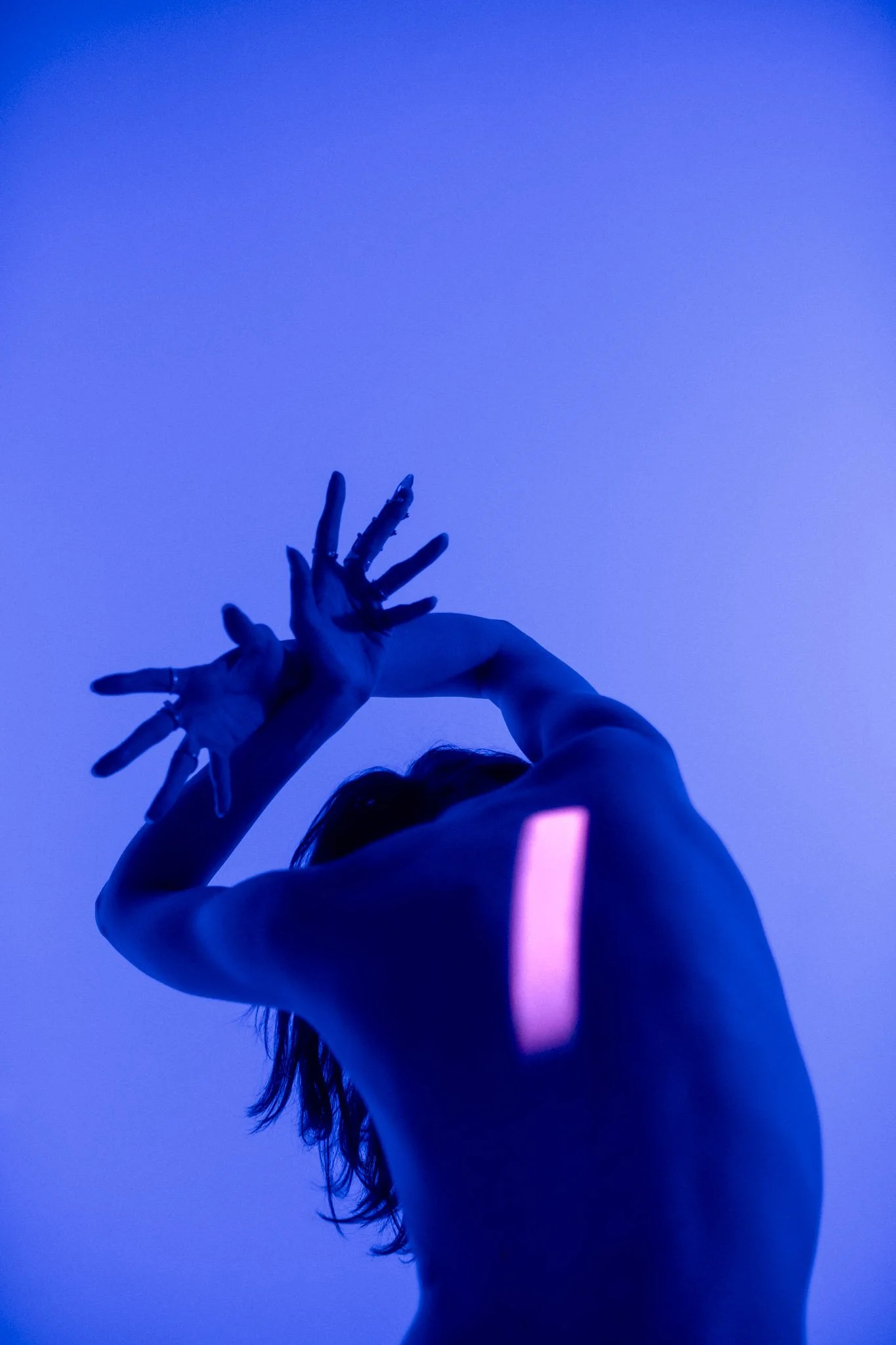 Silhouette of a person with long hair, hands raised, illuminated by blue and pink lighting, against a plain blue background.