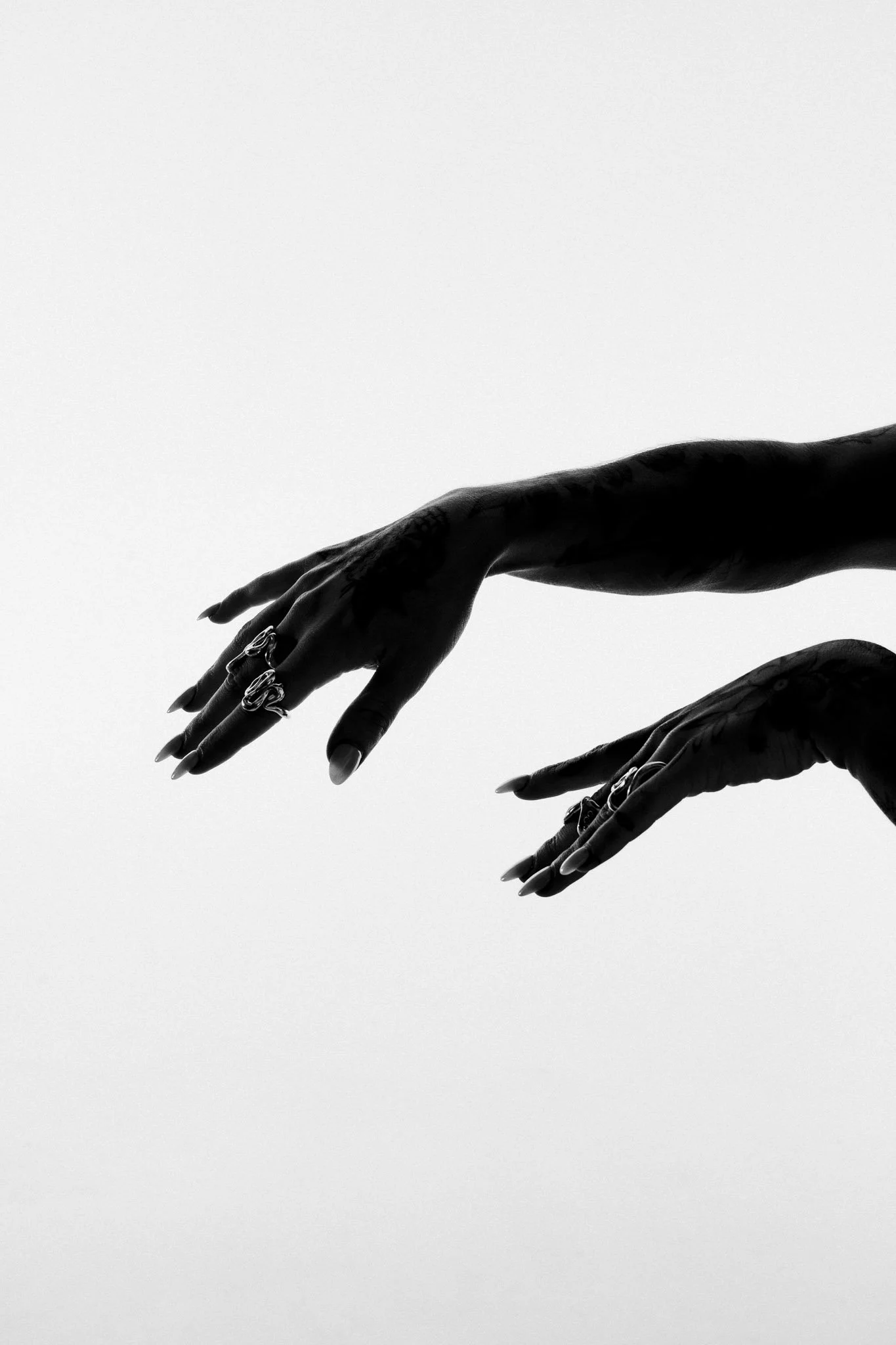 Silhouette of two hands reaching towards each other against a white background.