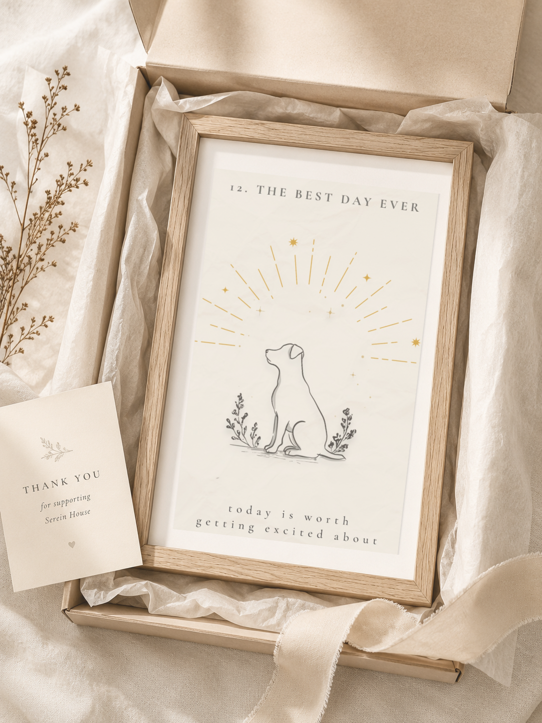 Close up ind dog mock ups - 12.png