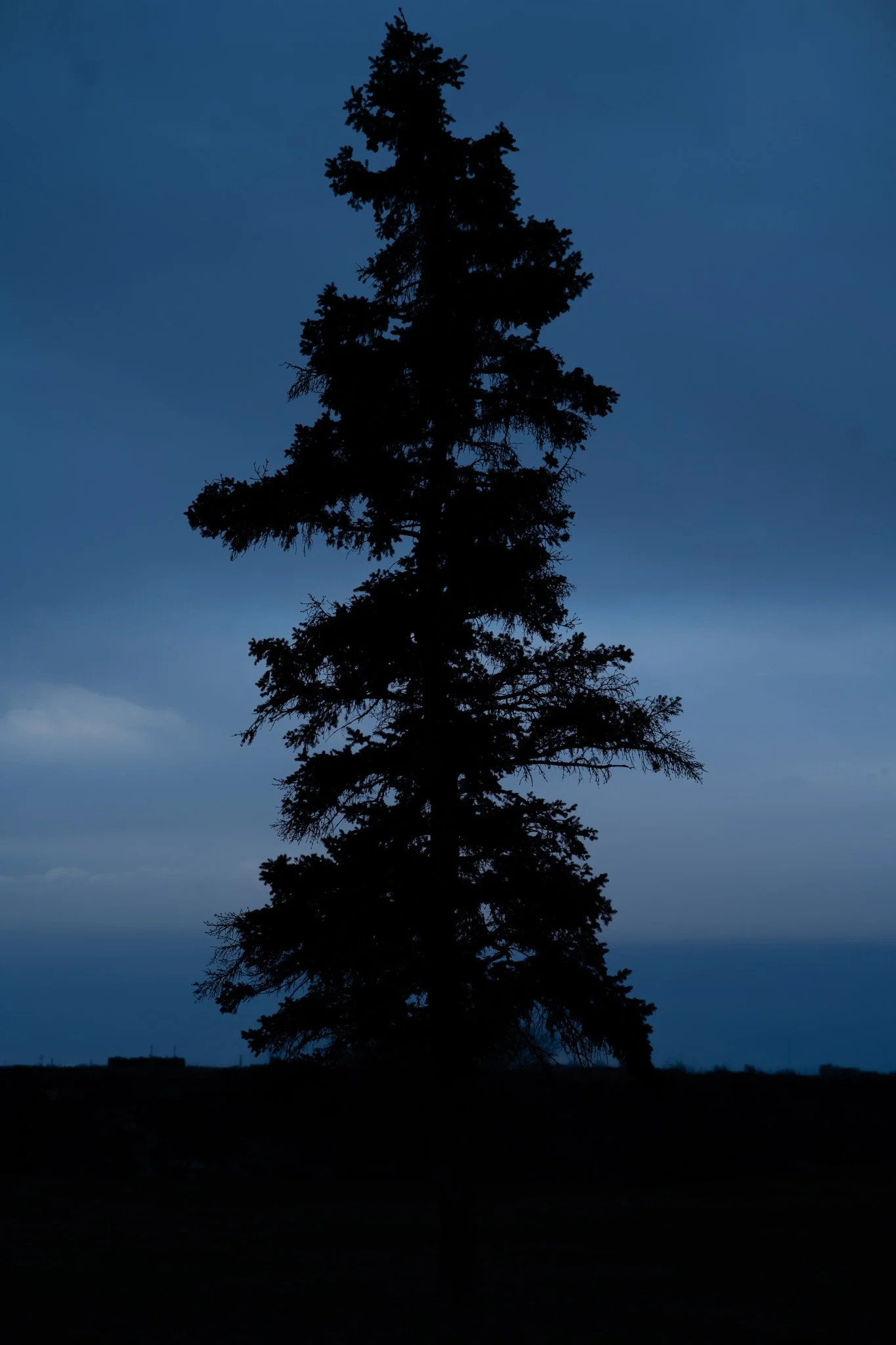 DSC_6210.jpg