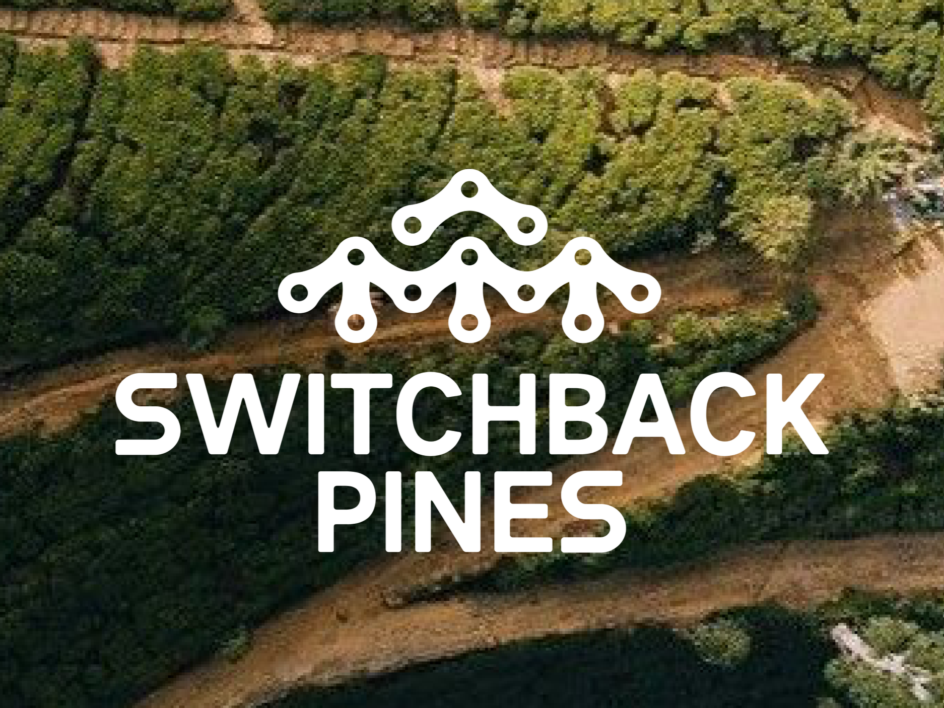 Switchback Pines