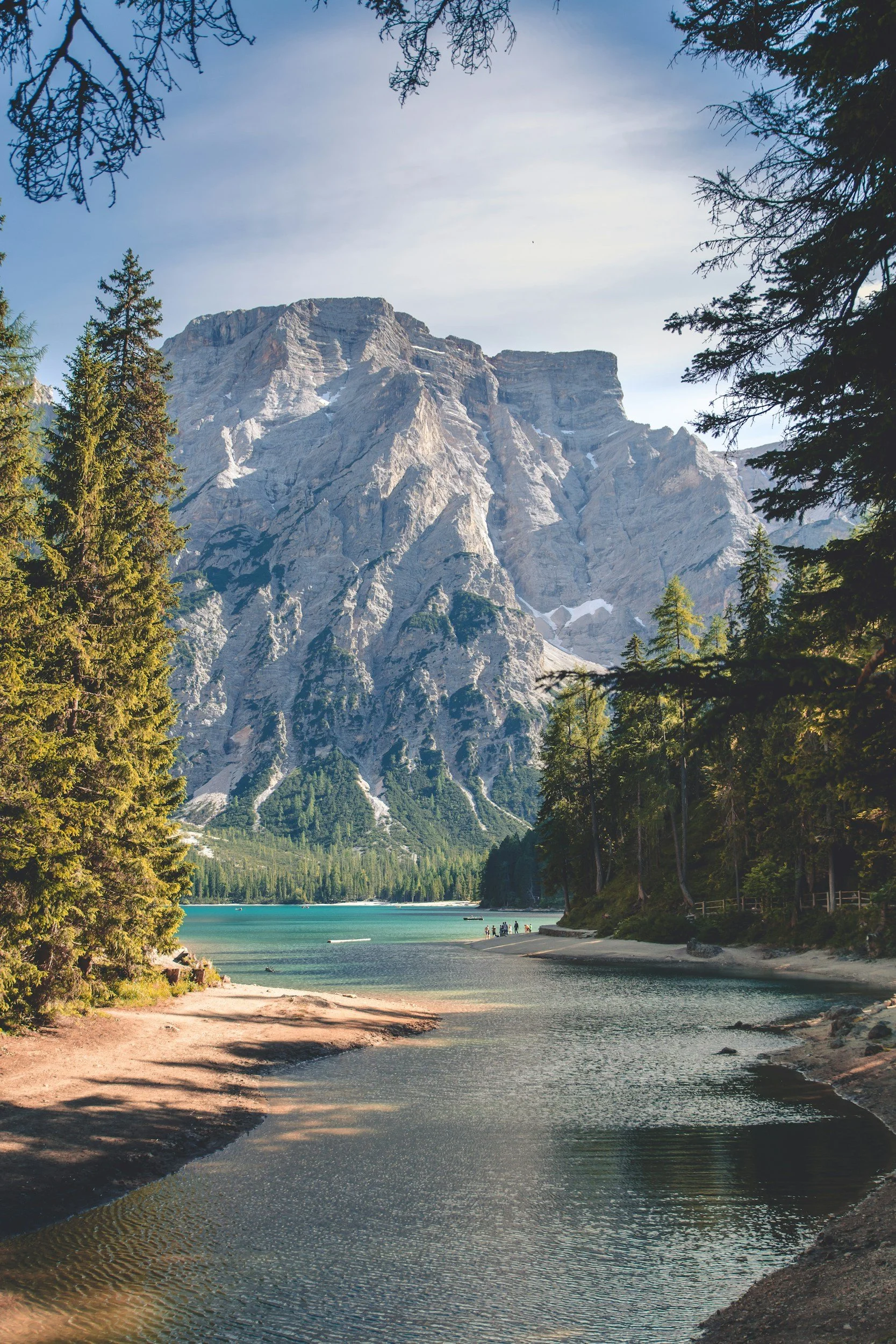 A river running through the forest at the base of a large beautiful mountain