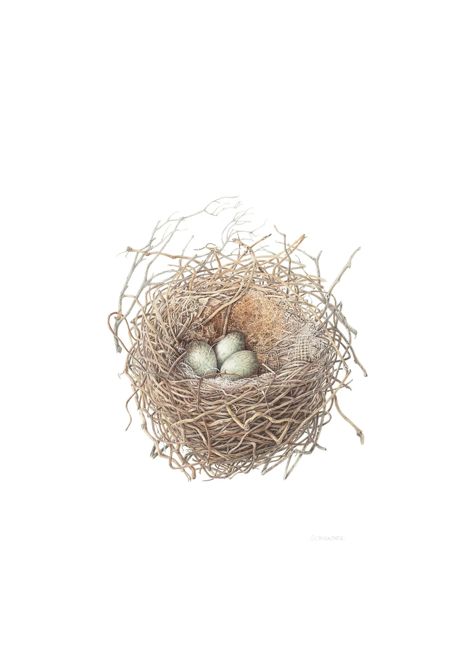 Magpie Nest_white_webResCopy - Deb Chirnside.jpg