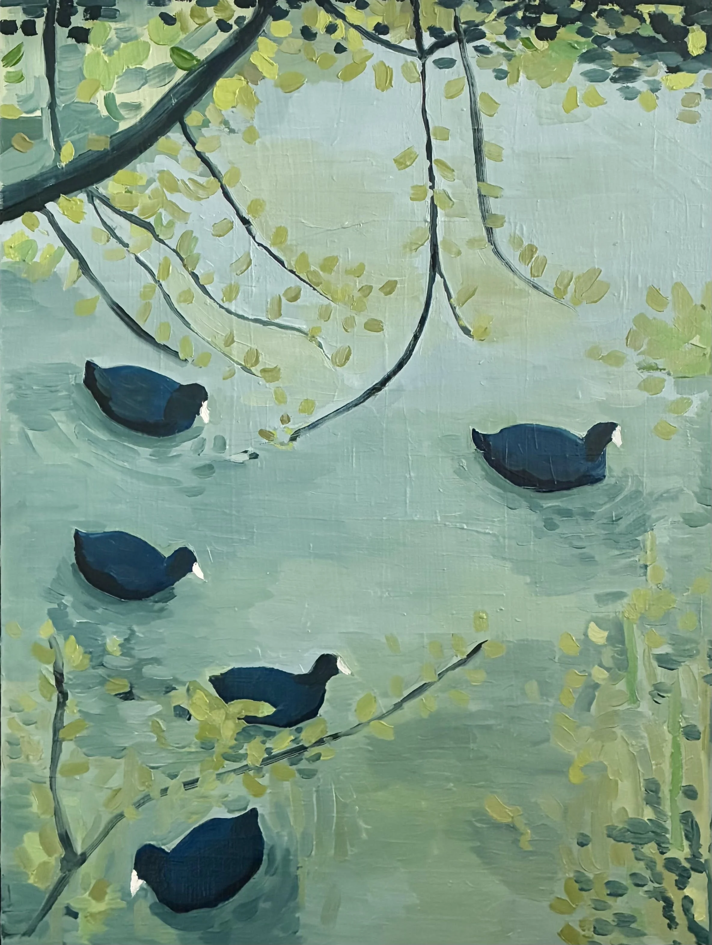 coots - Edwina Atkins.jpg