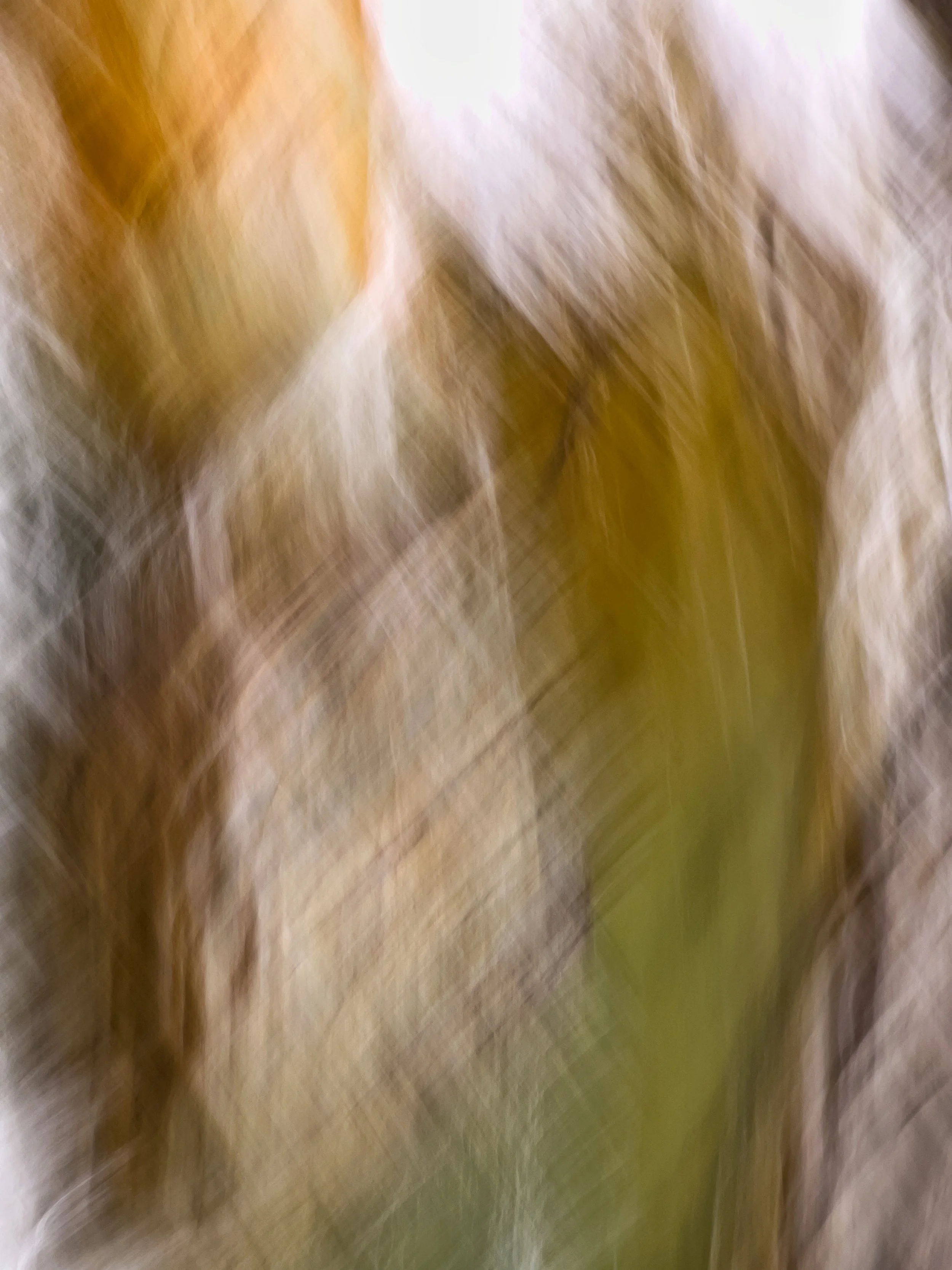 upon the nooksack, iii