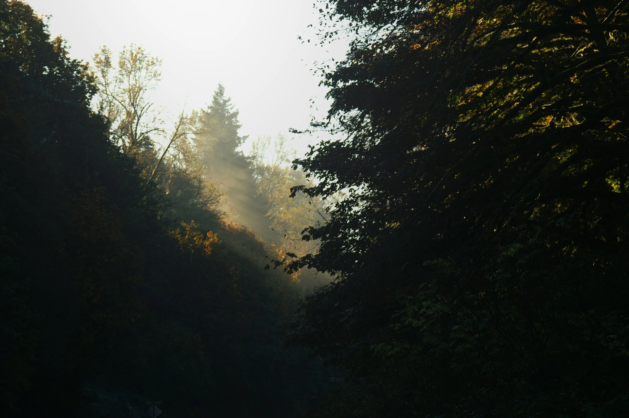 PICT2469.jpg