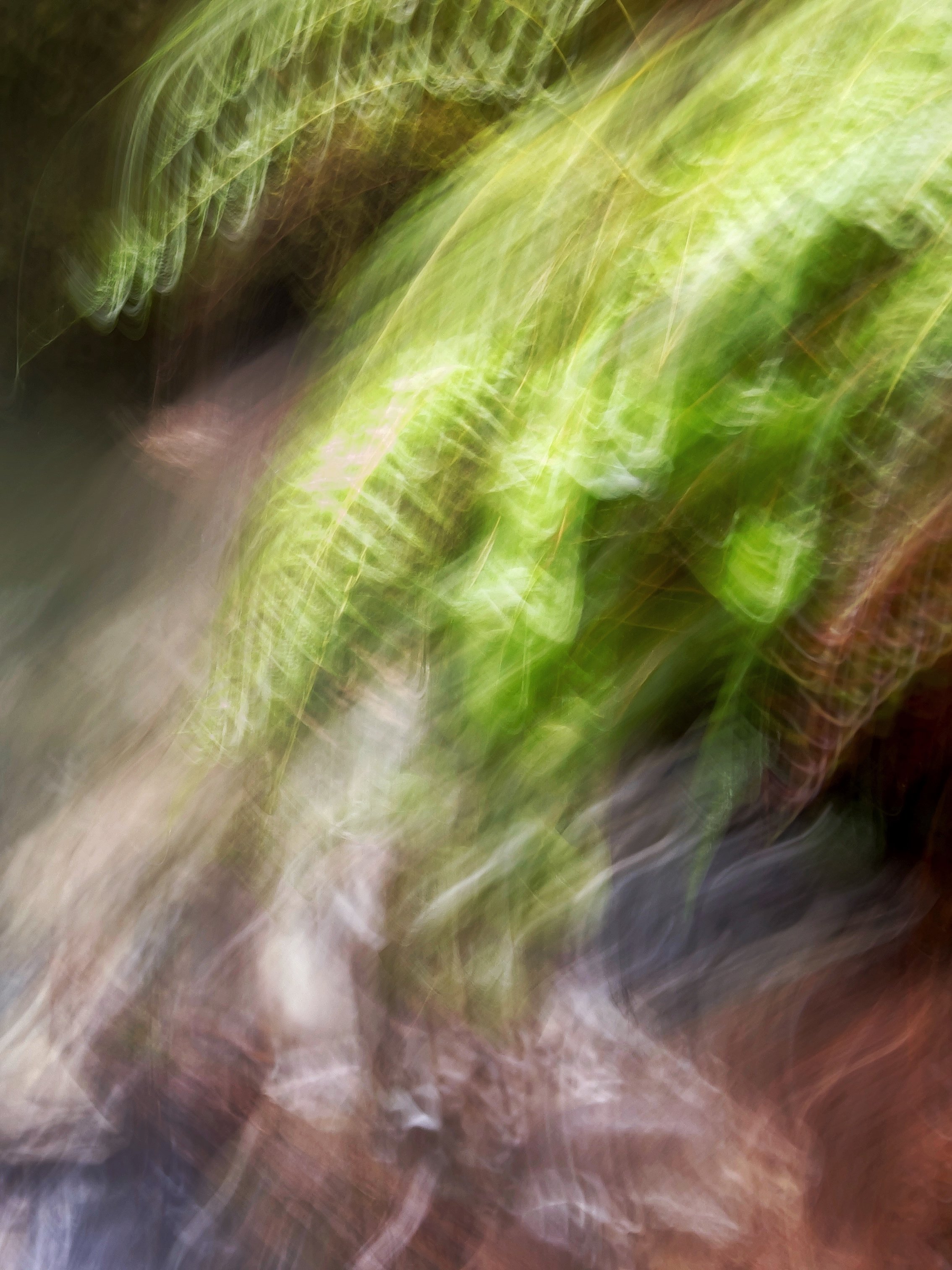 upon the nooksack, ii