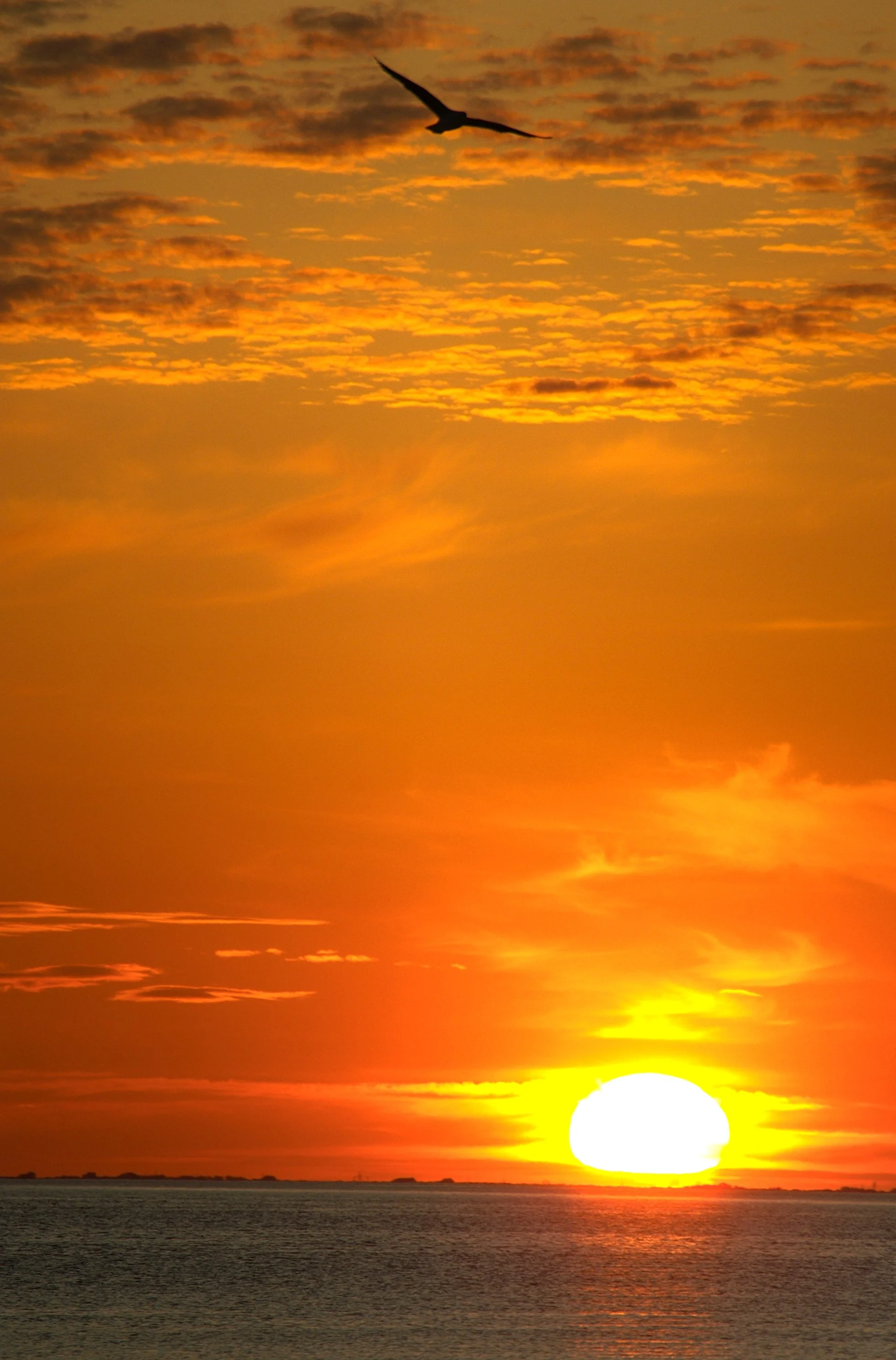 PICT2089.jpg