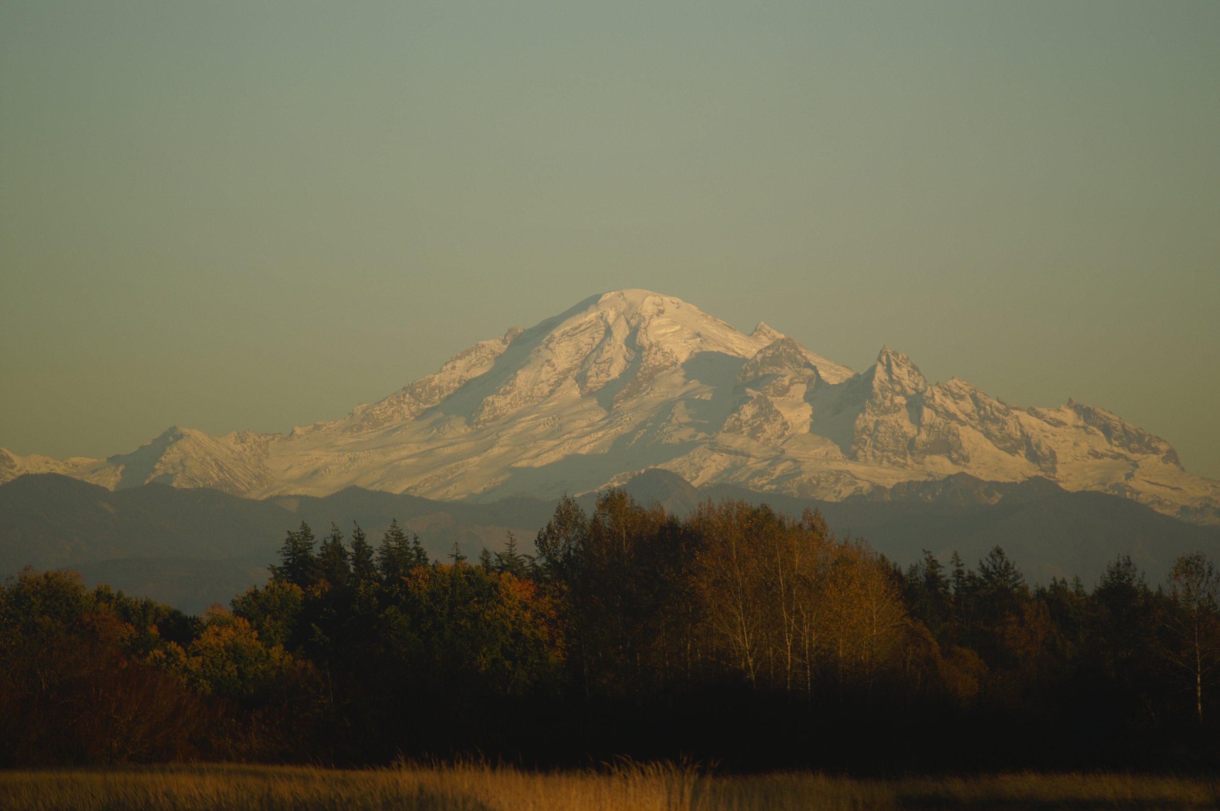 PICT2548.jpg