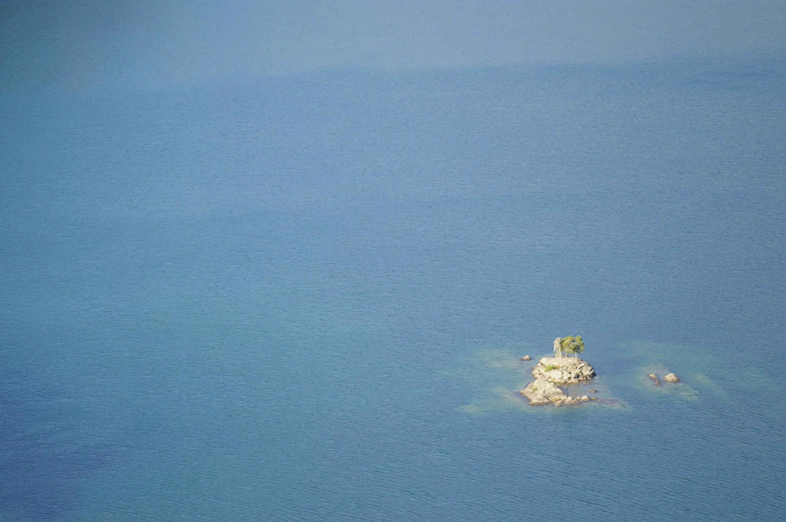 PICT2495.jpg