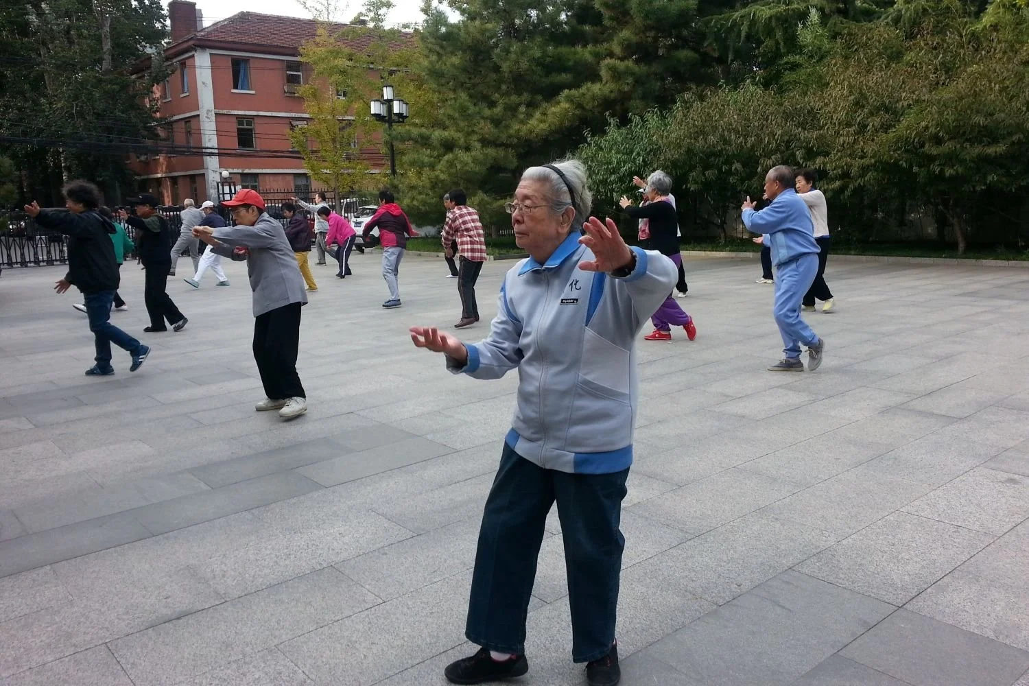 Protecting Kidney Energy: A Key to Preventing Dementia