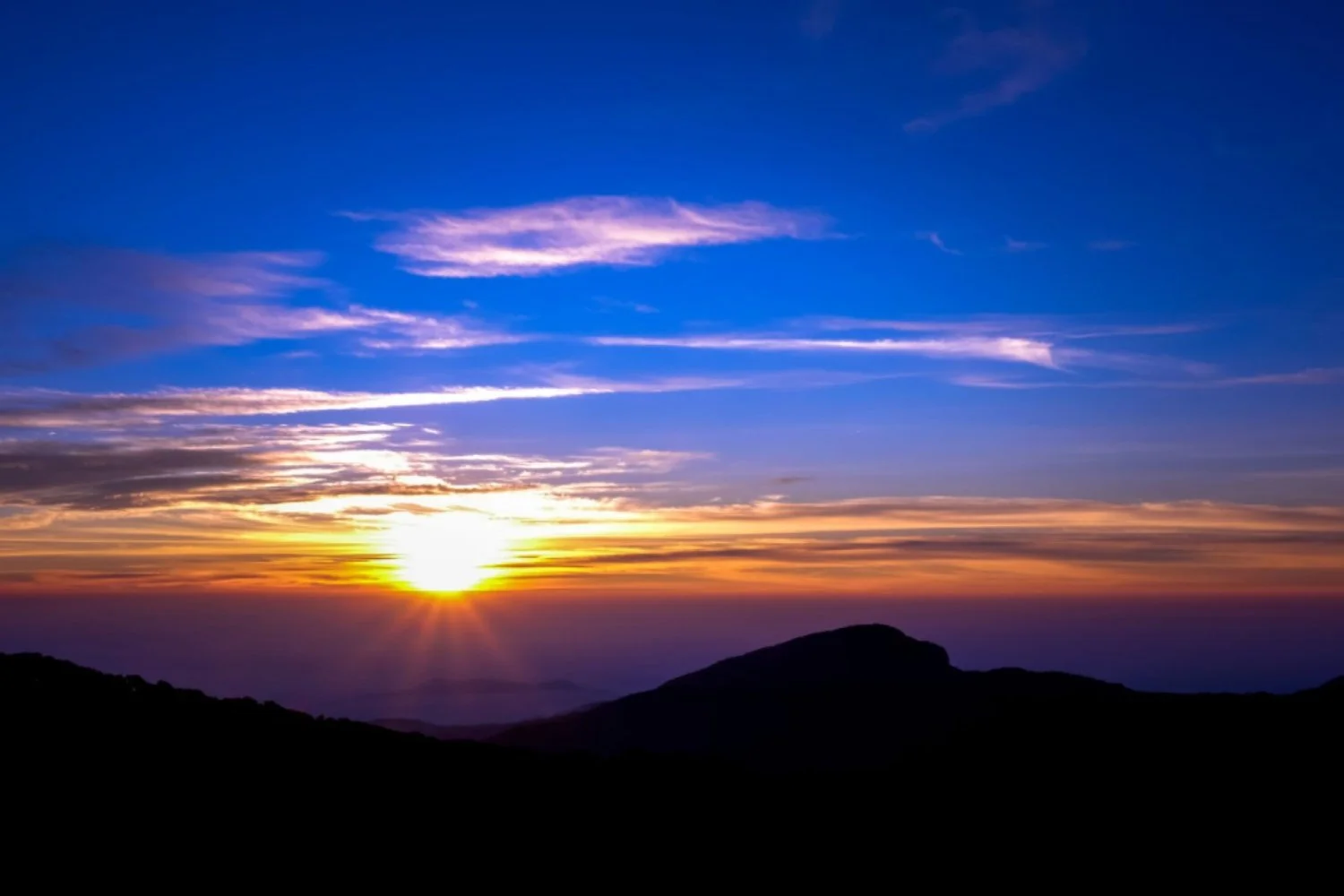 Embracing Winter Wellness: Traditional Chinese Medicine Practices for the Solstice