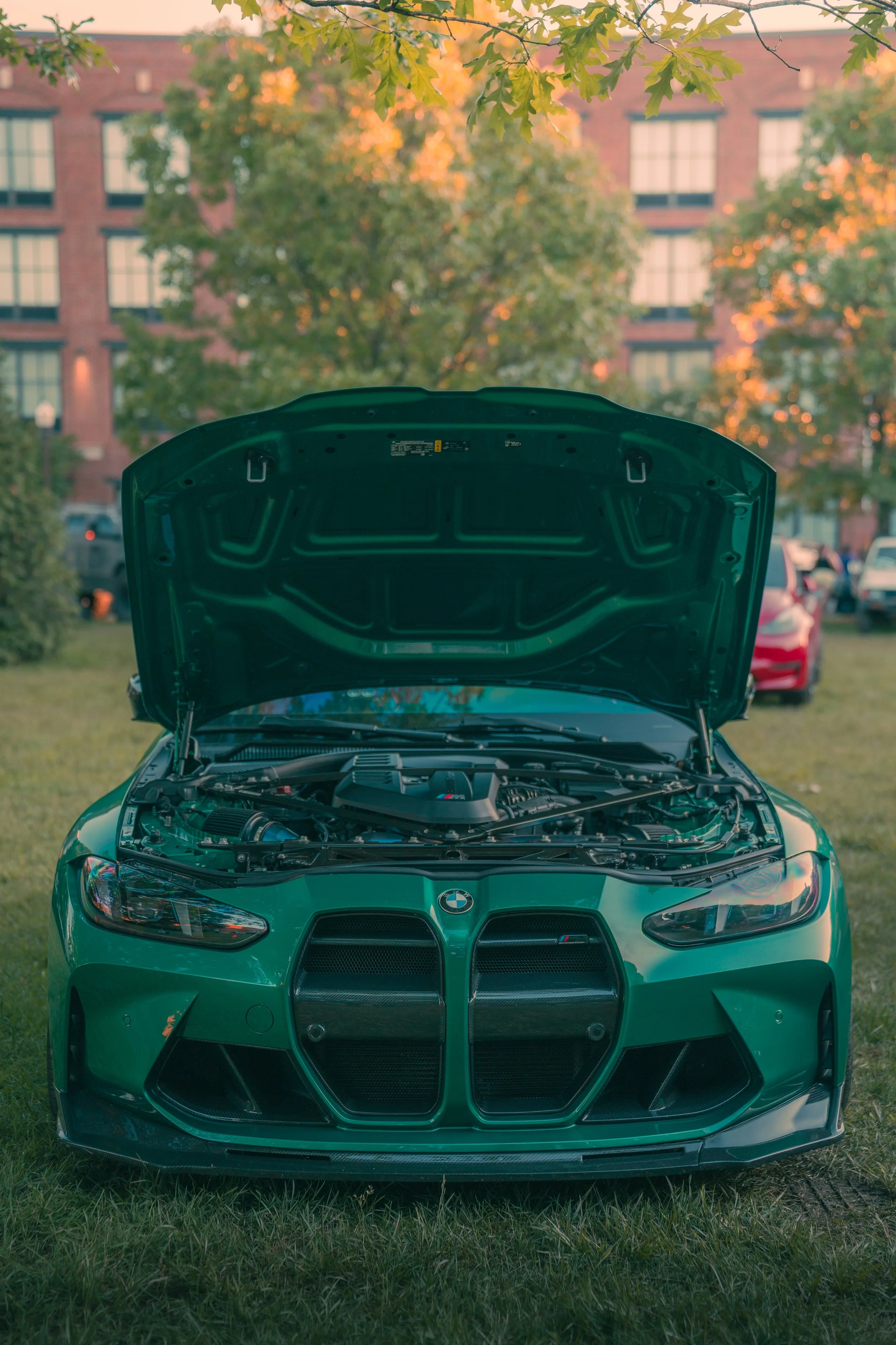 A green BMW car with its hood open, parked on grass in a park during sunset, with trees and a brick building in the background.