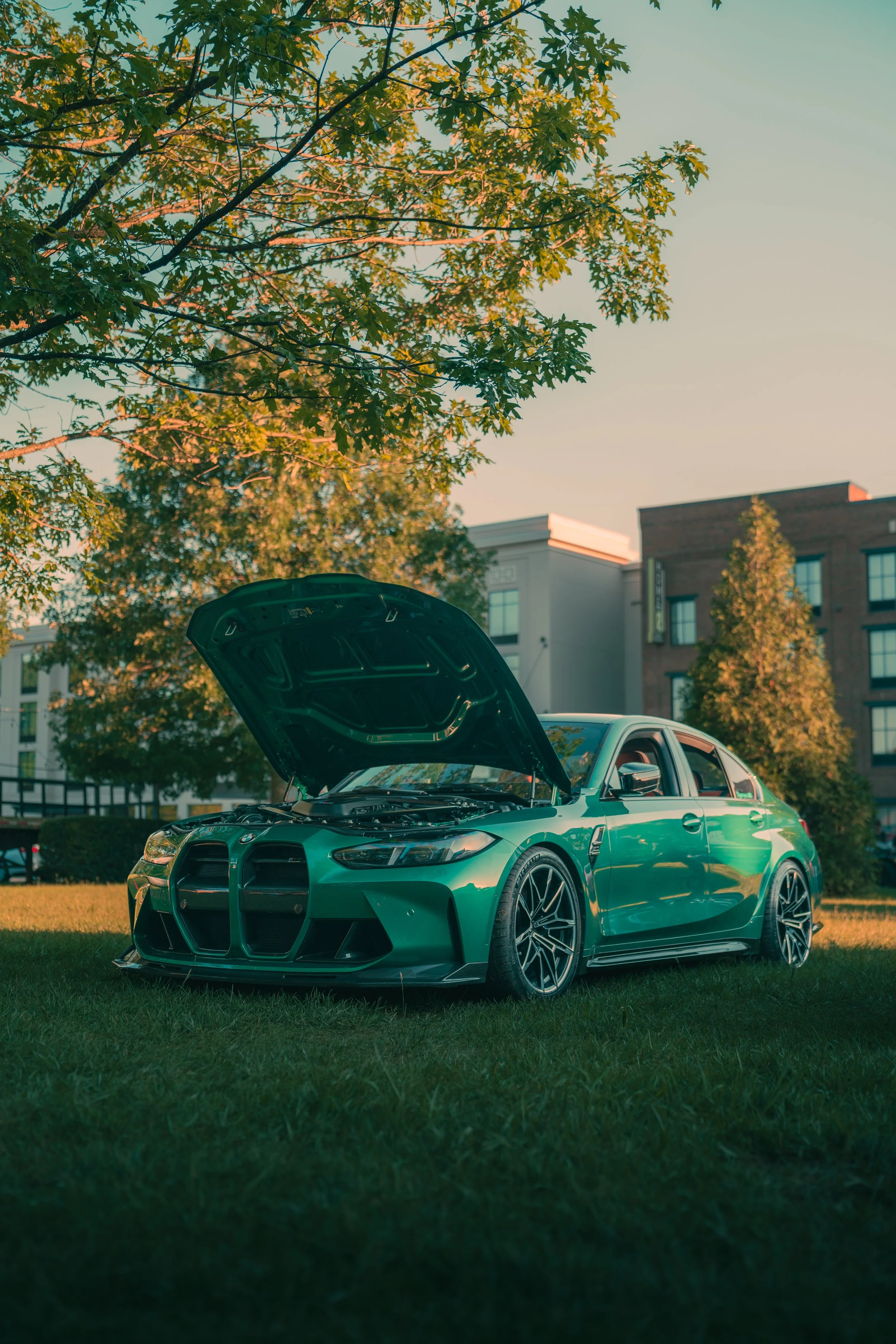 A green sports car with its hood open, parked on grass with buildings and trees in the background during sunset.