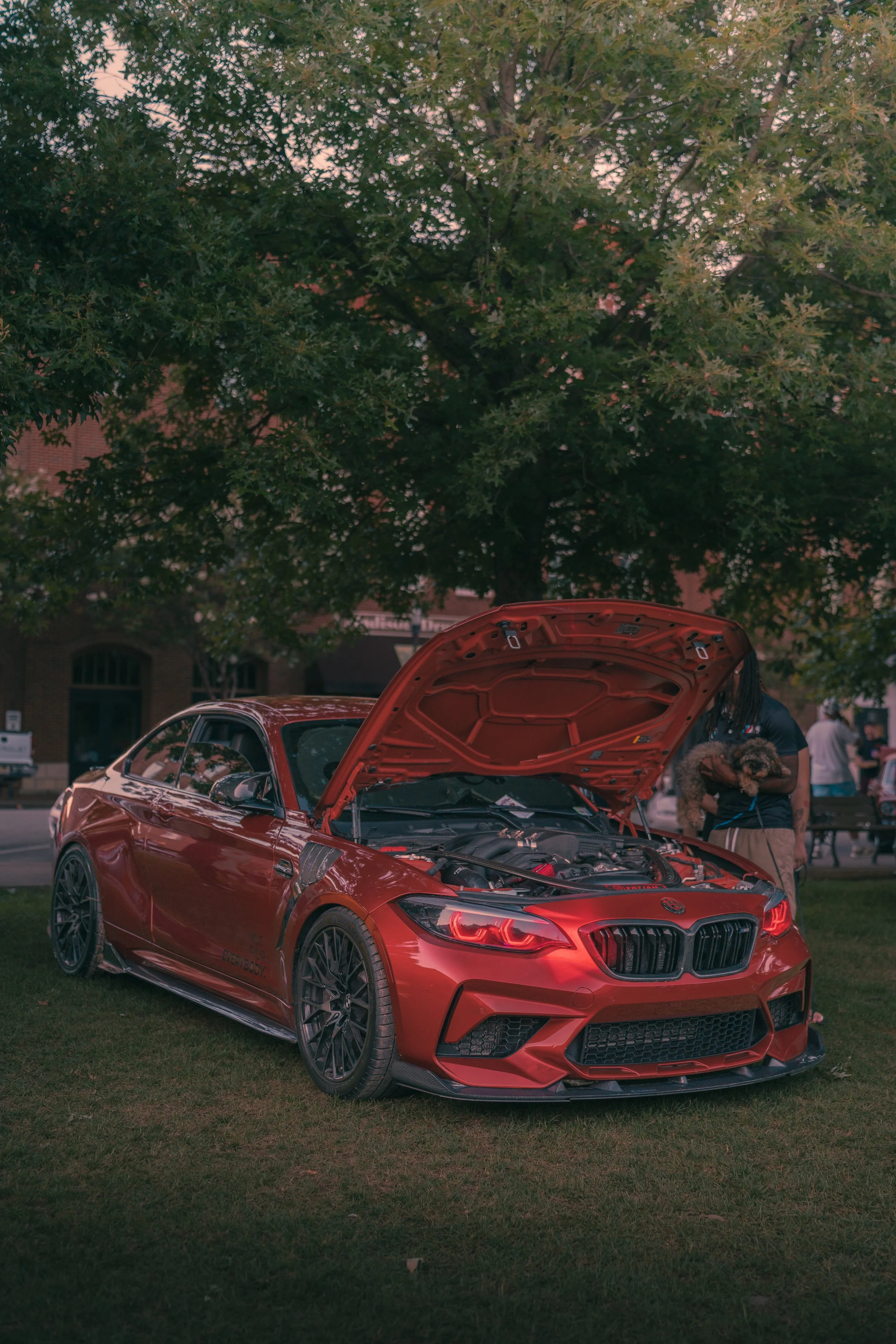 Red sports car with hood open at an outdoor event, a person is holding a dog and standing next to it, large tree with green leaves in the background, and a building nearby.